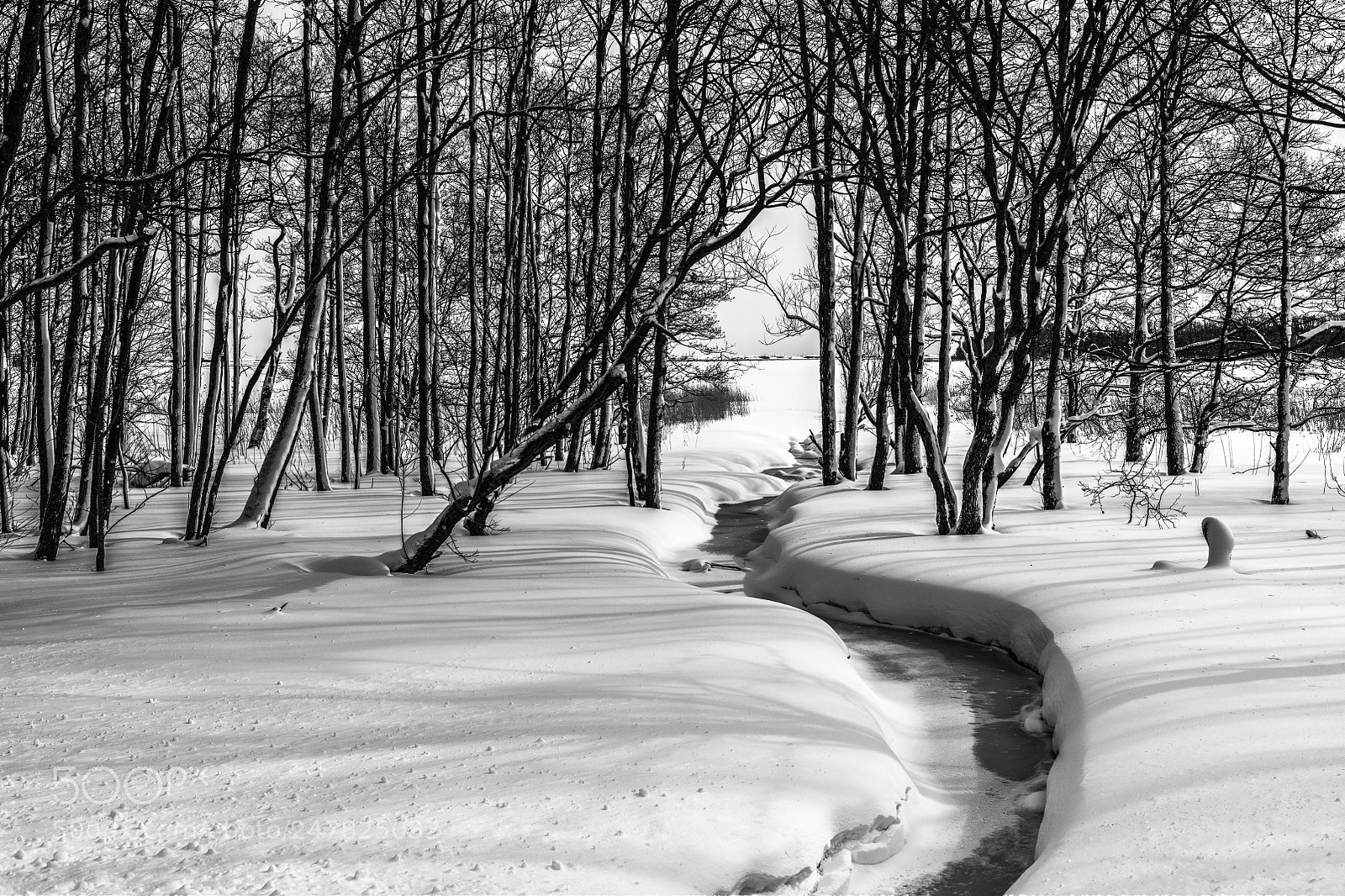 Nikon D850 sample photo. Frozen stream photography