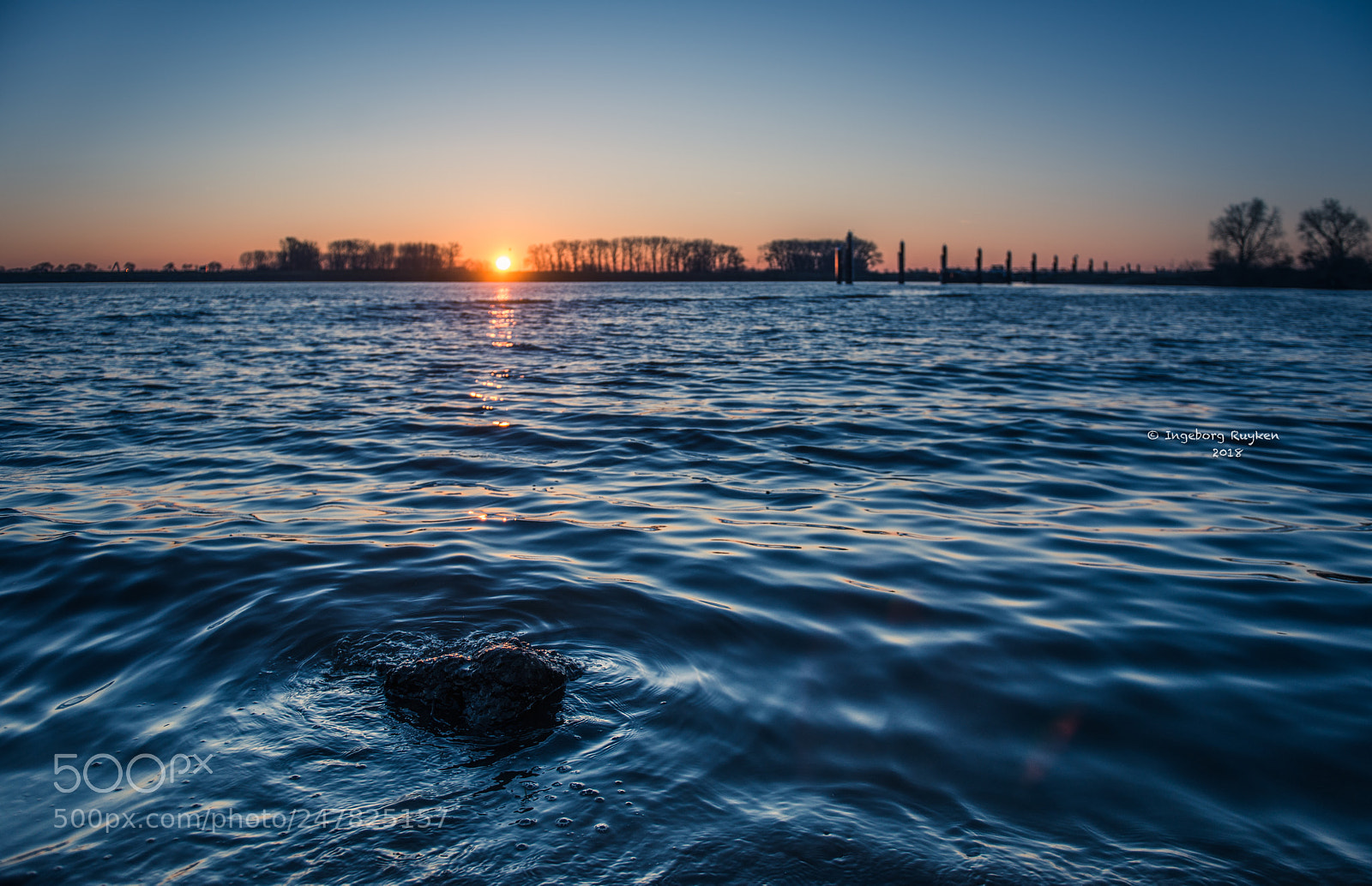 Nikon D800 sample photo. Kanaalpark 3266 photography