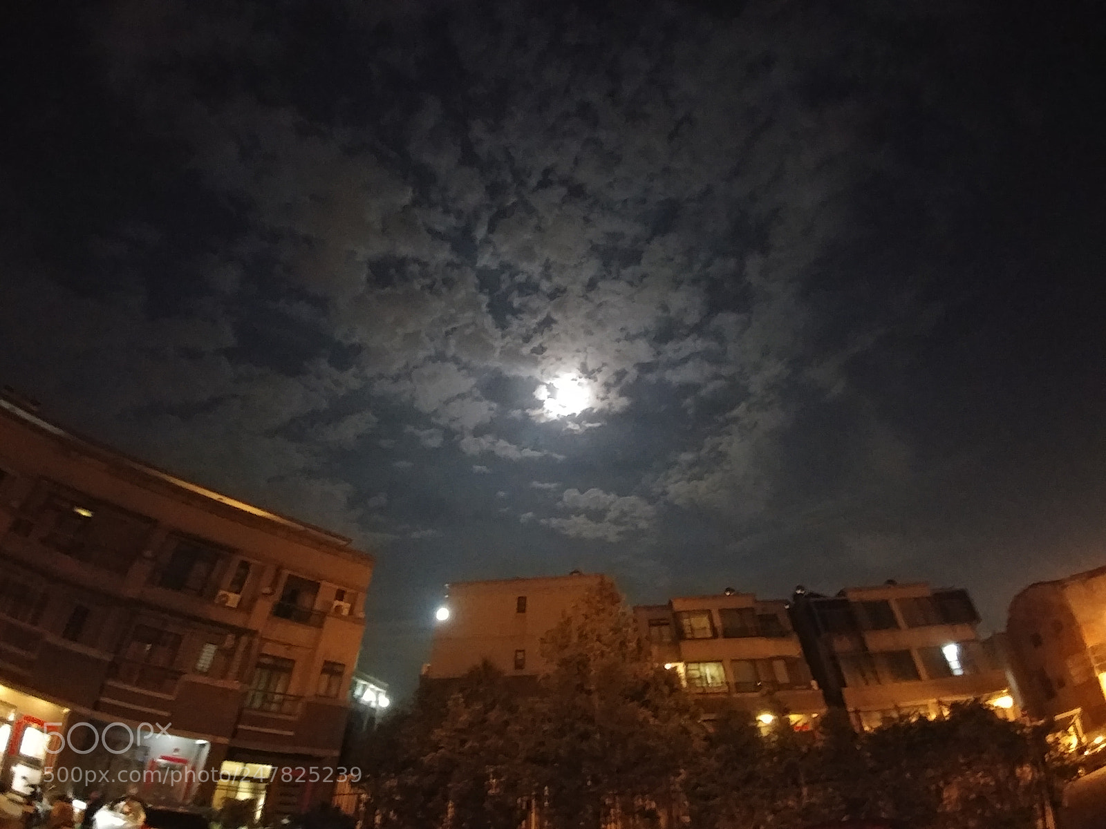 LG V20 sample photo. Untitled photography