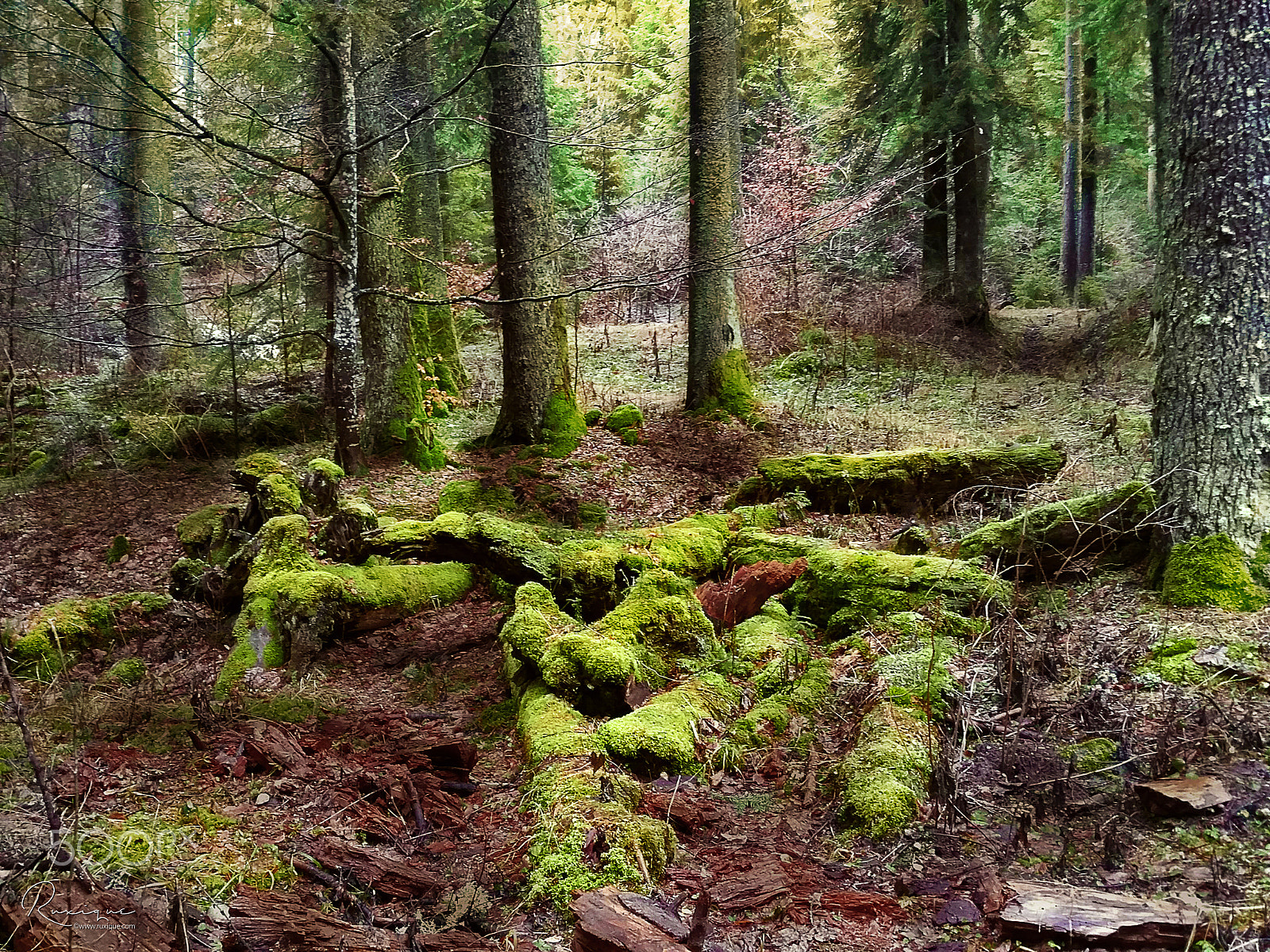Samsung Galaxy S5 LTE-A sample photo. The hidden place photography