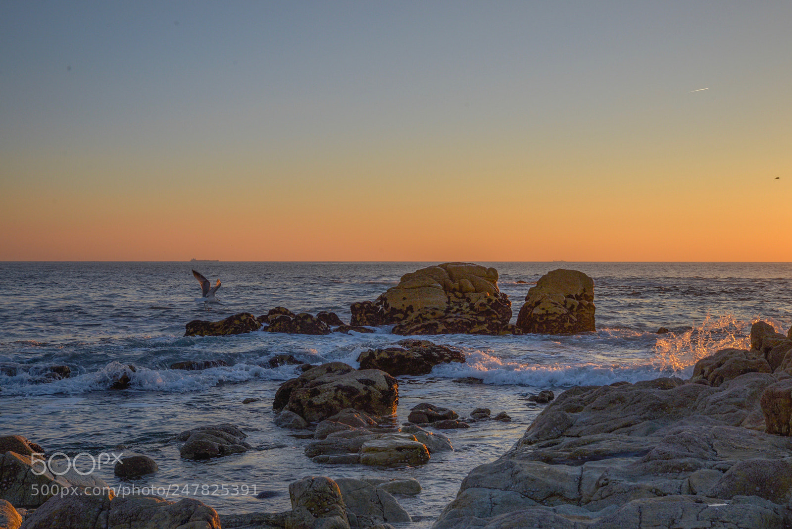 Nikon D610 sample photo. Horizon photography