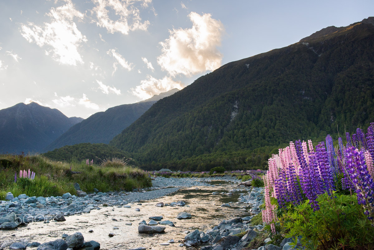 Nikon D610 sample photo. Fiordland, new zelanad photography