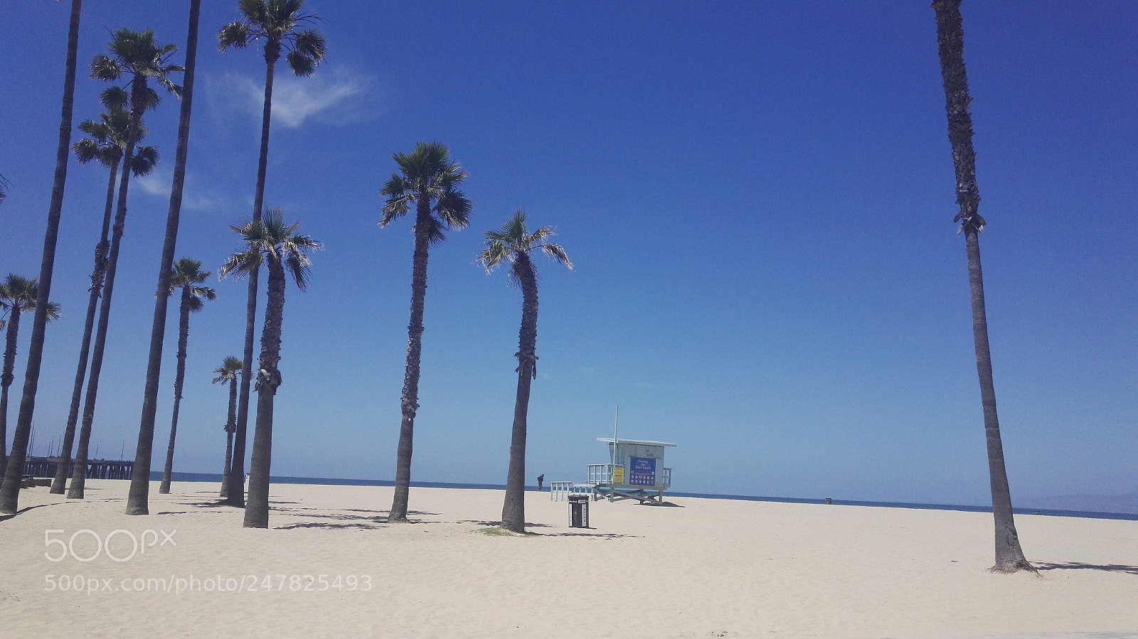 HUAWEI Honor 7 sample photo. Venice beach photography