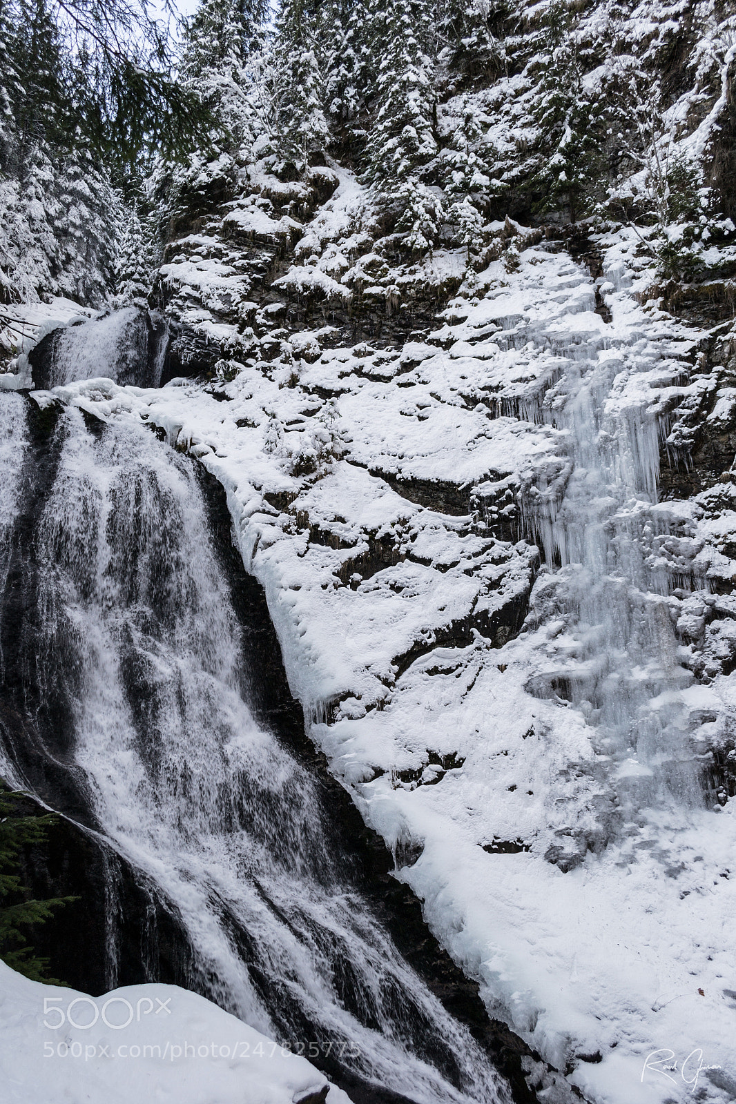 Nikon D3100 sample photo. Flow photography