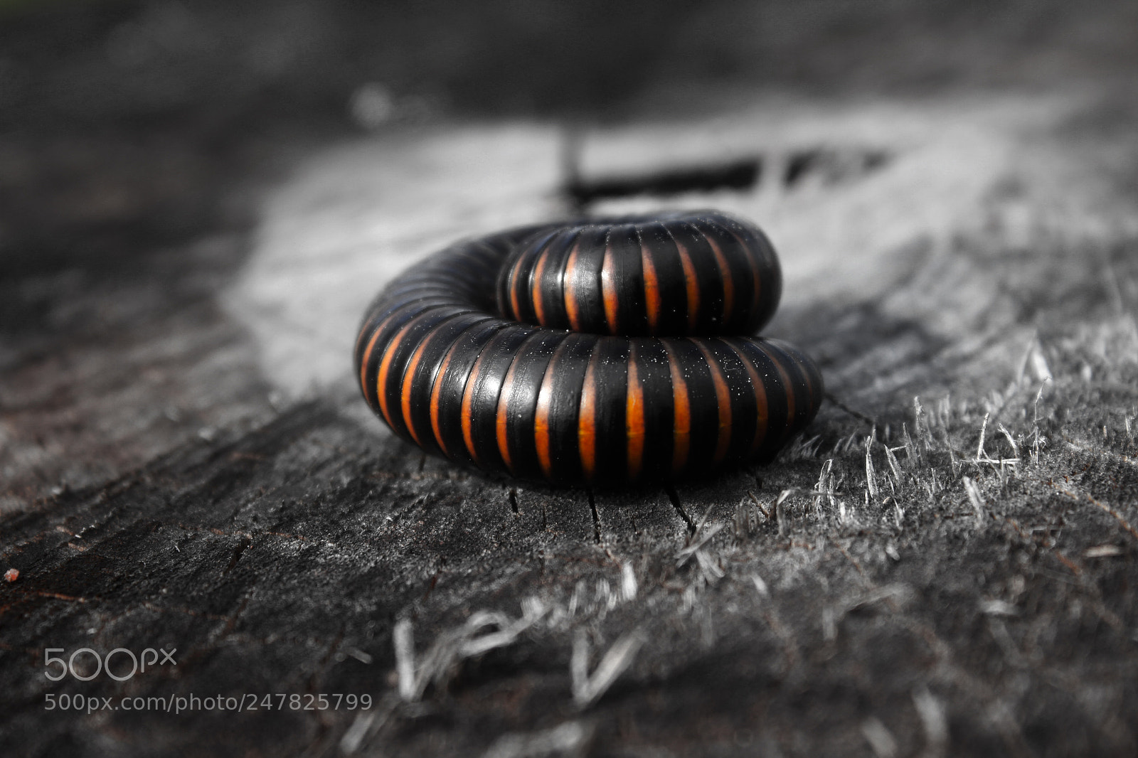 Canon EOS 7D sample photo. Untitled photography