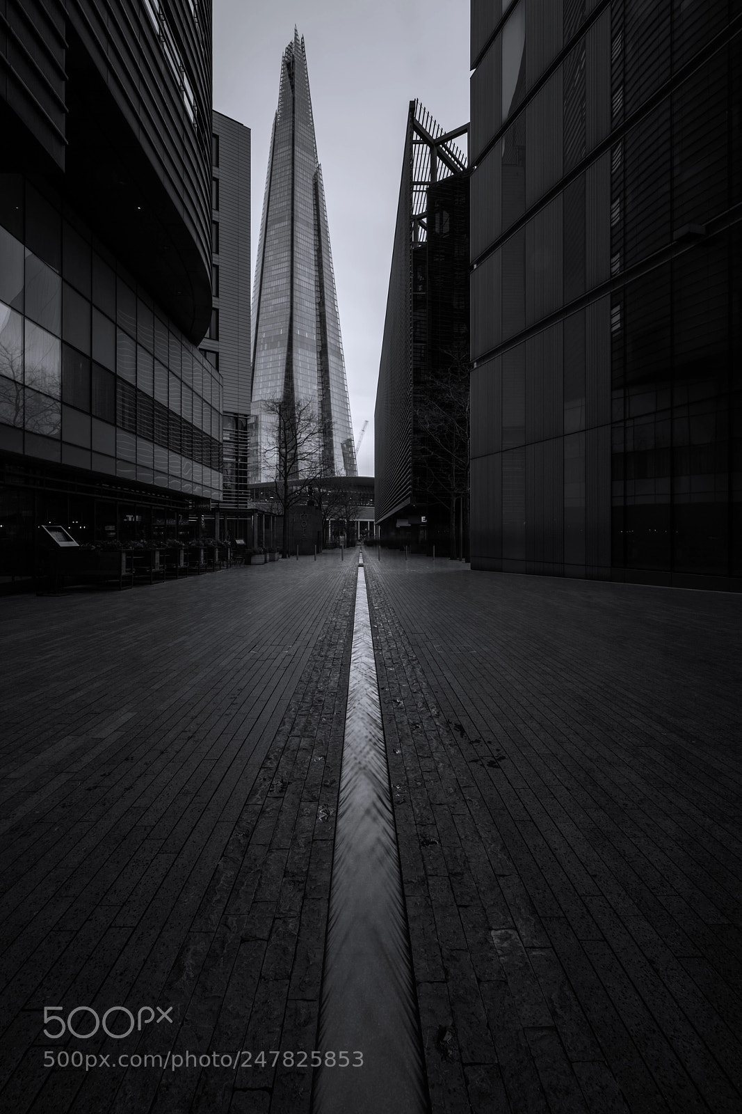 Sony a7R II sample photo. S h a r photography