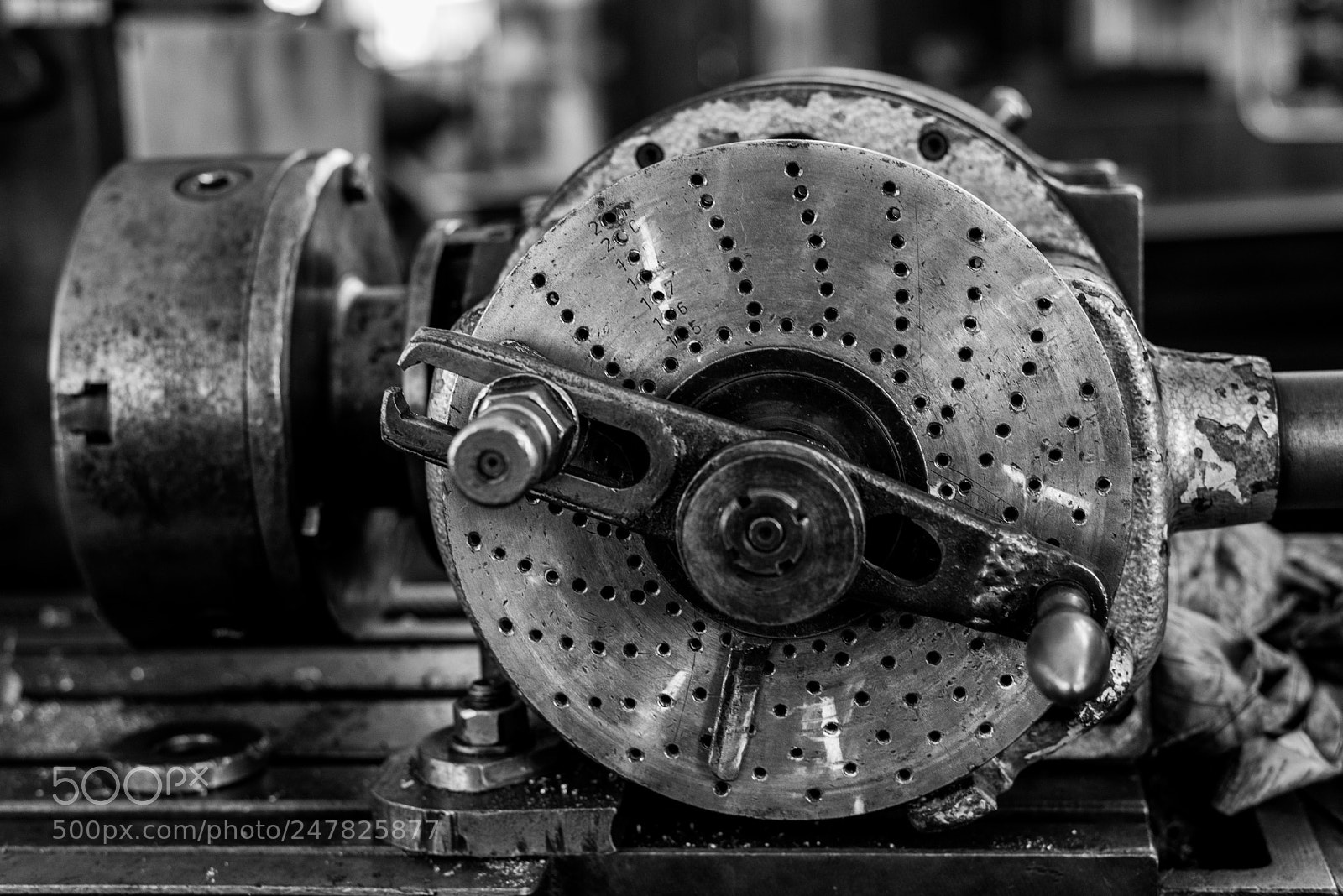 Nikon D610 sample photo. Pattern photography