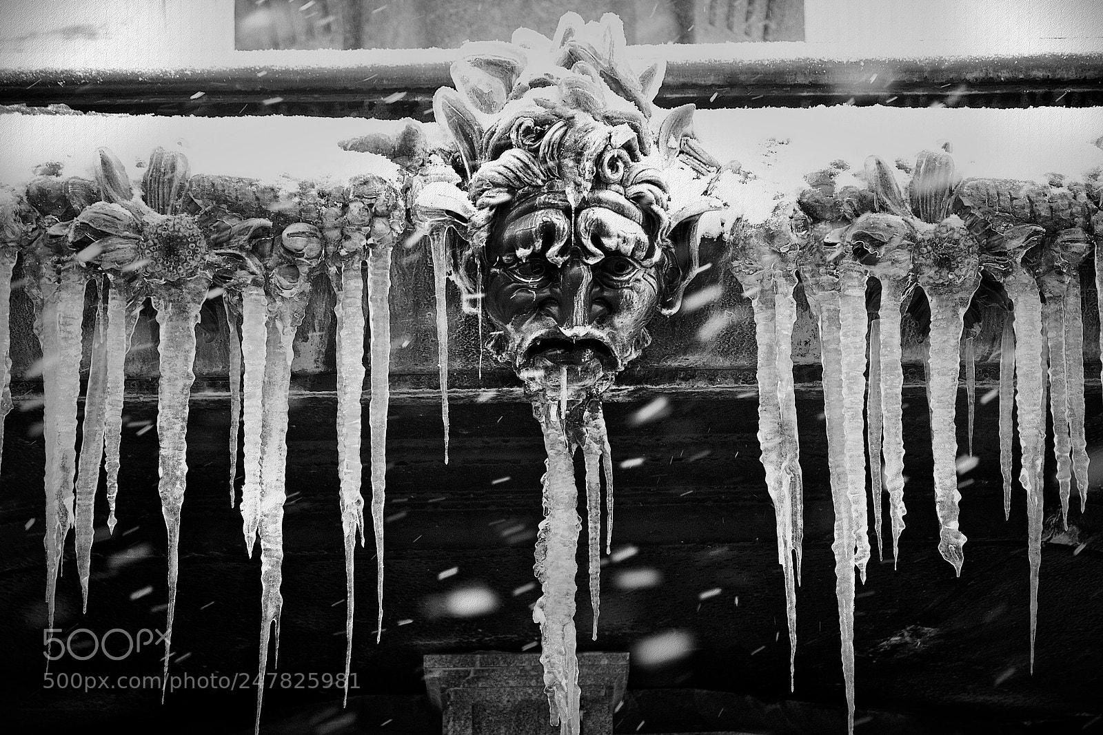 Canon EOS 100D (EOS Rebel SL1 / EOS Kiss X7) sample photo. Froid- -cold photography