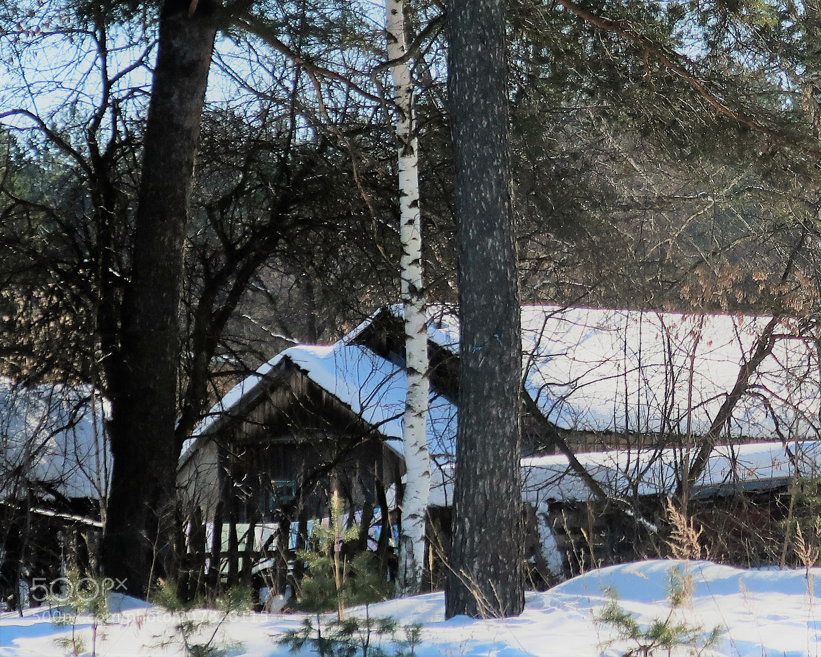 Canon PowerShot G9 X Mark II sample photo. A hidden little house photography
