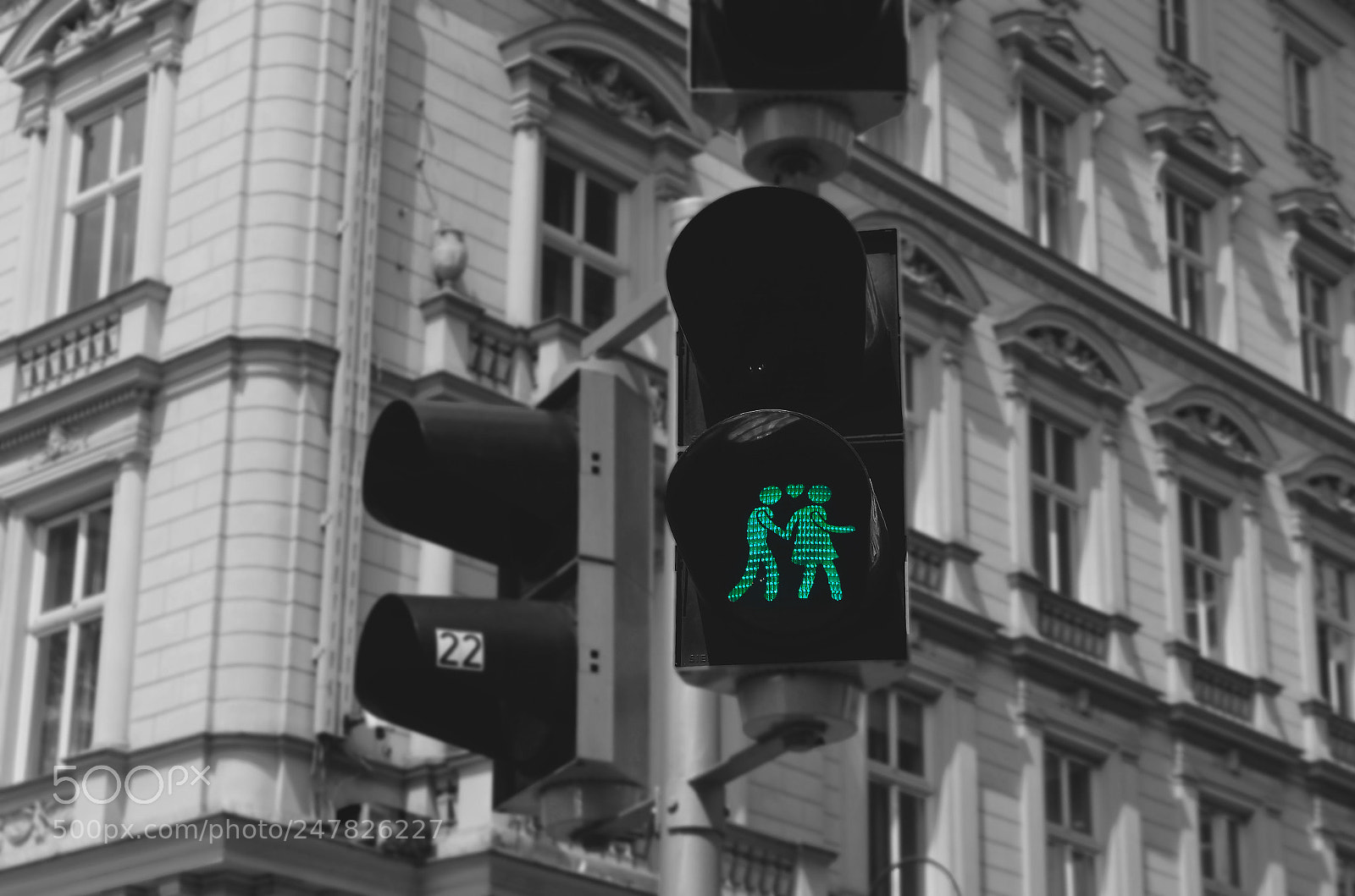 Nikon D5100 sample photo. Love photography