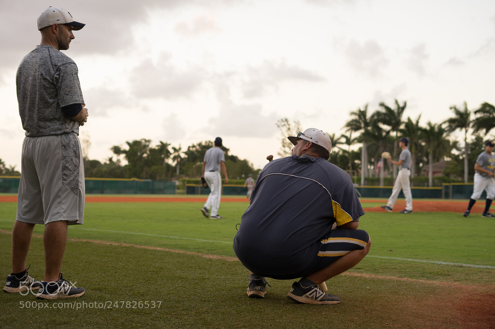 Sony a7 II sample photo. Dsc photography