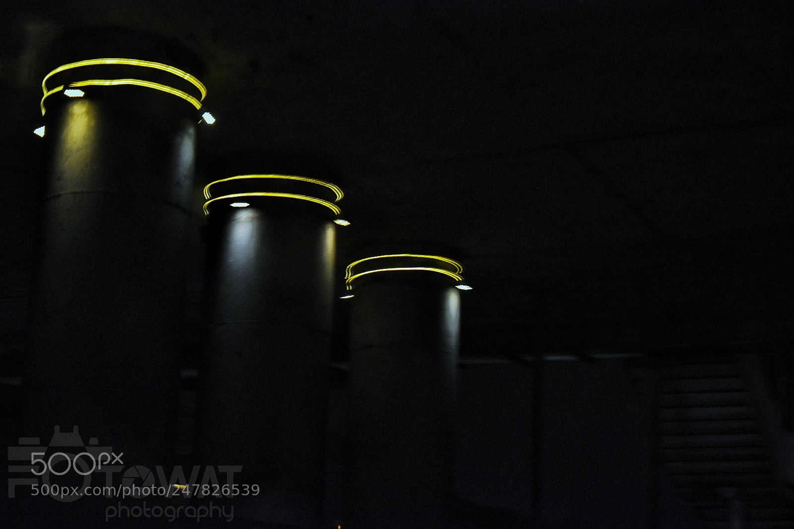 Nikon D5500 sample photo. Untitled photography