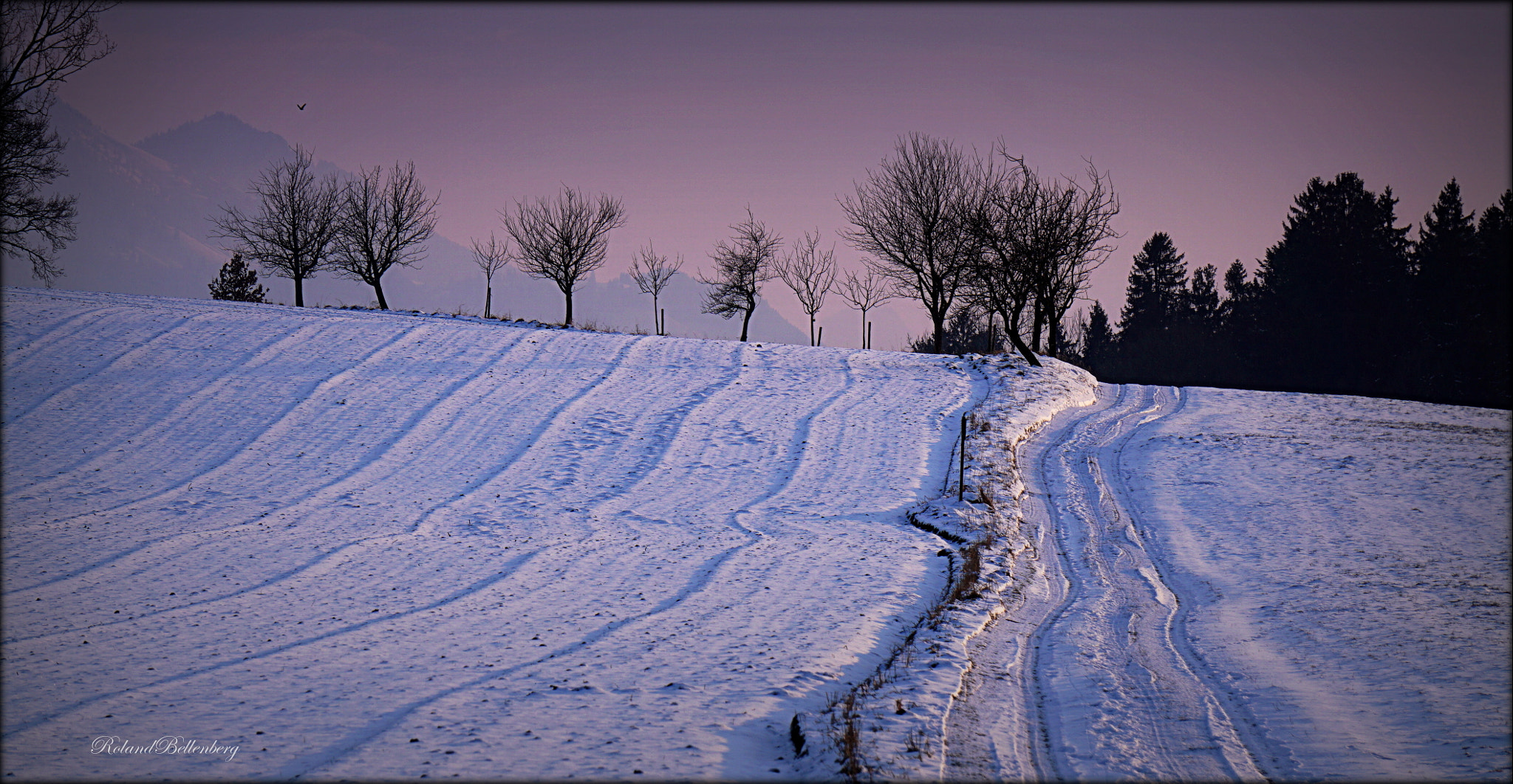 Sony FE 24-240mm F3.5-6.3 OSS sample photo. Tracks photography