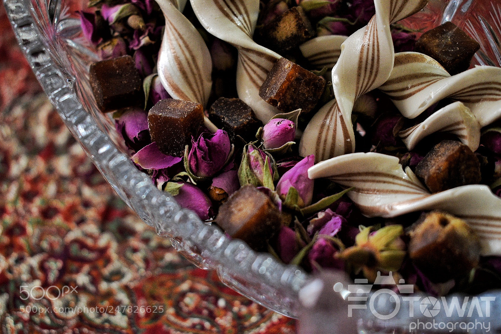 Nikon D5500 sample photo. Untitled photography
