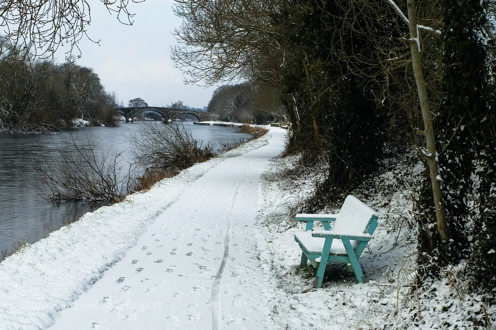 Fujifilm X100F sample photo. Kilsheelan river walk photography