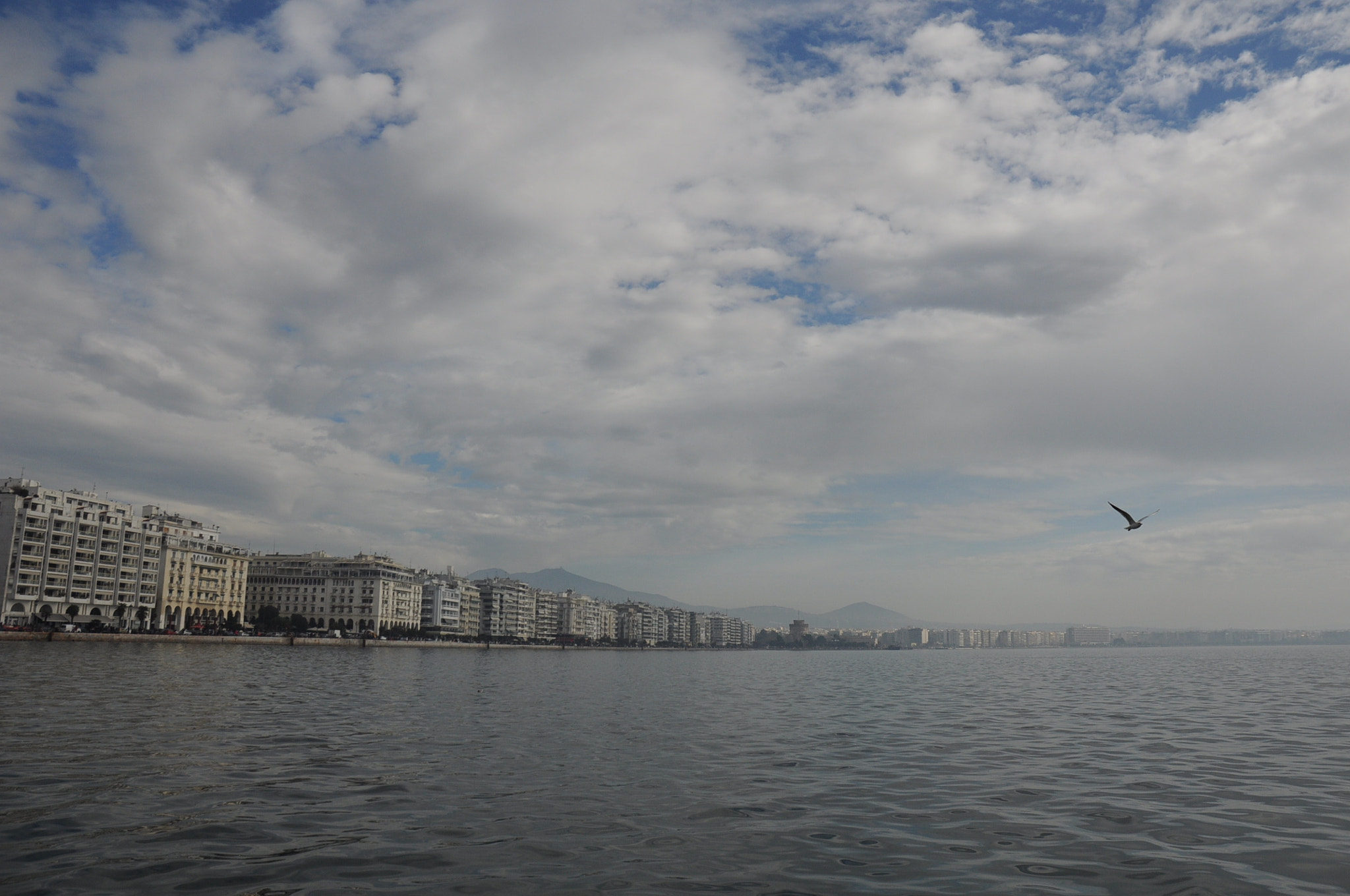 Nikon D90 sample photo. Come with me photography