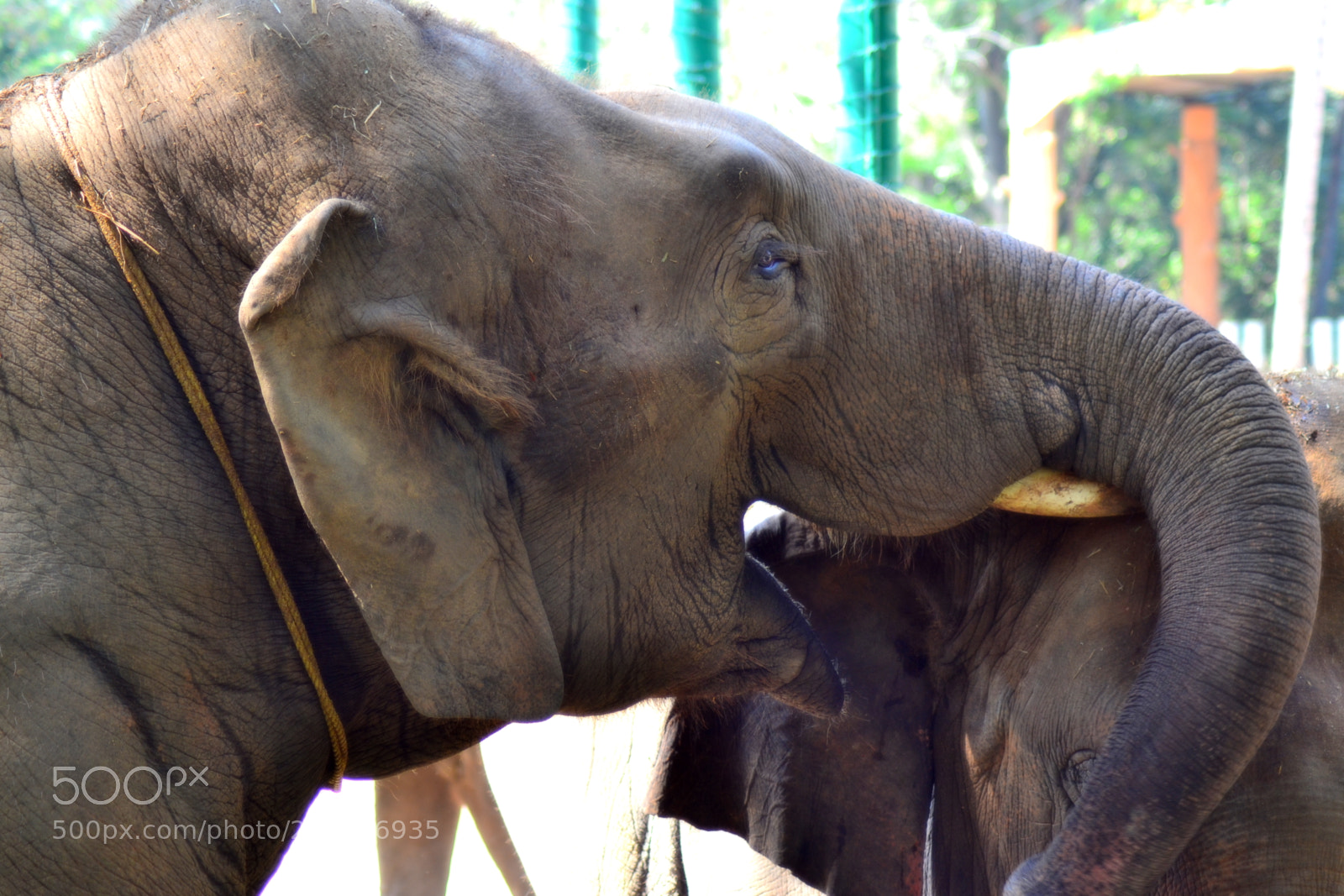 Nikon D3100 sample photo. Wanna hear a joke? photography