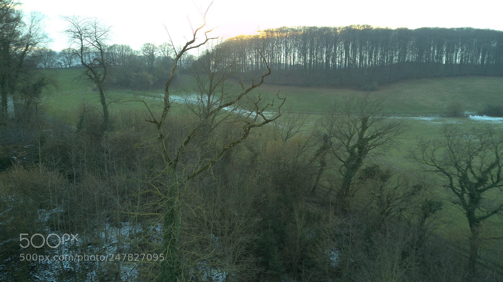 DJI FC220 sample photo. Dji photography