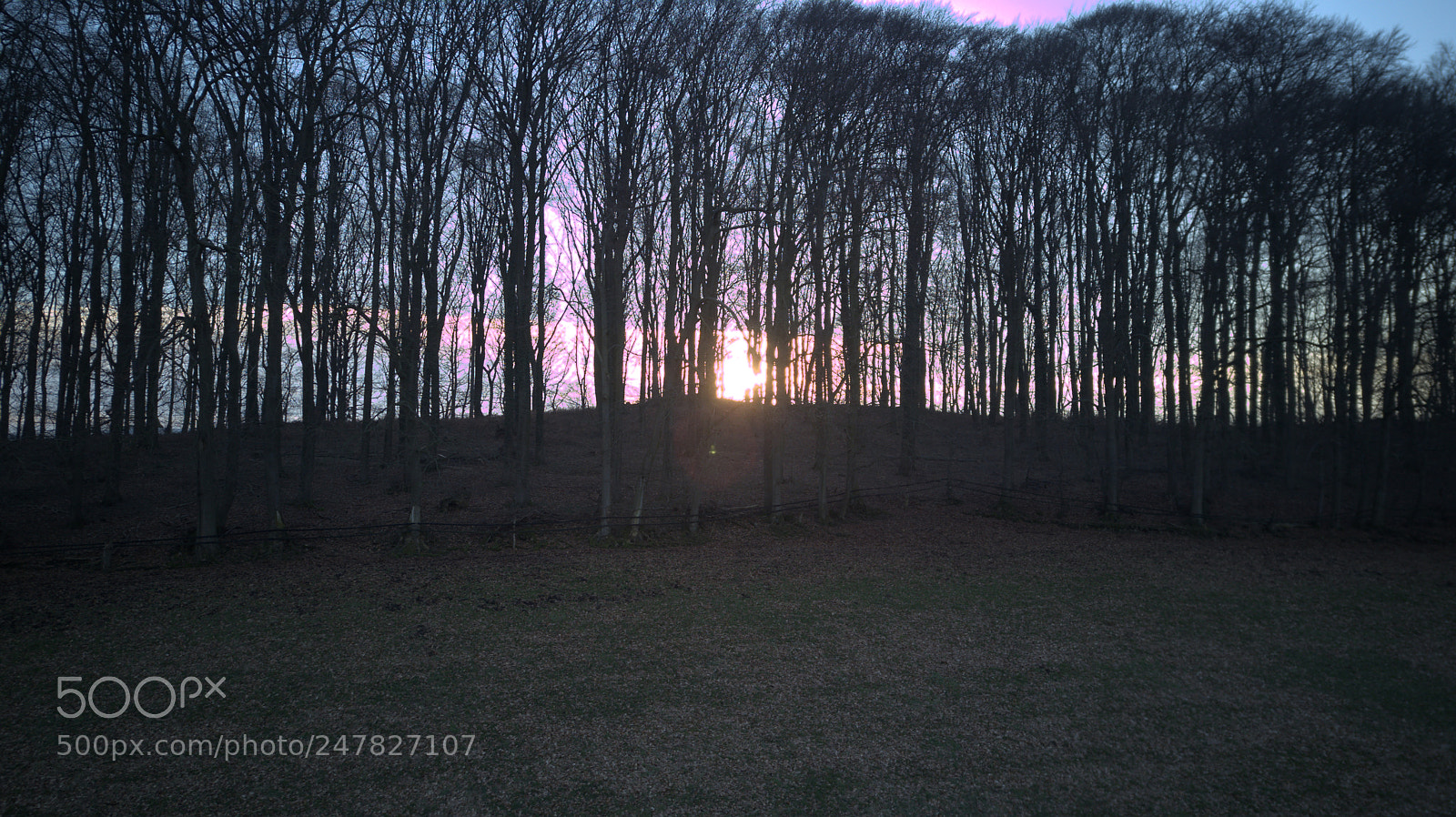 DJI FC220 sample photo. Dji photography