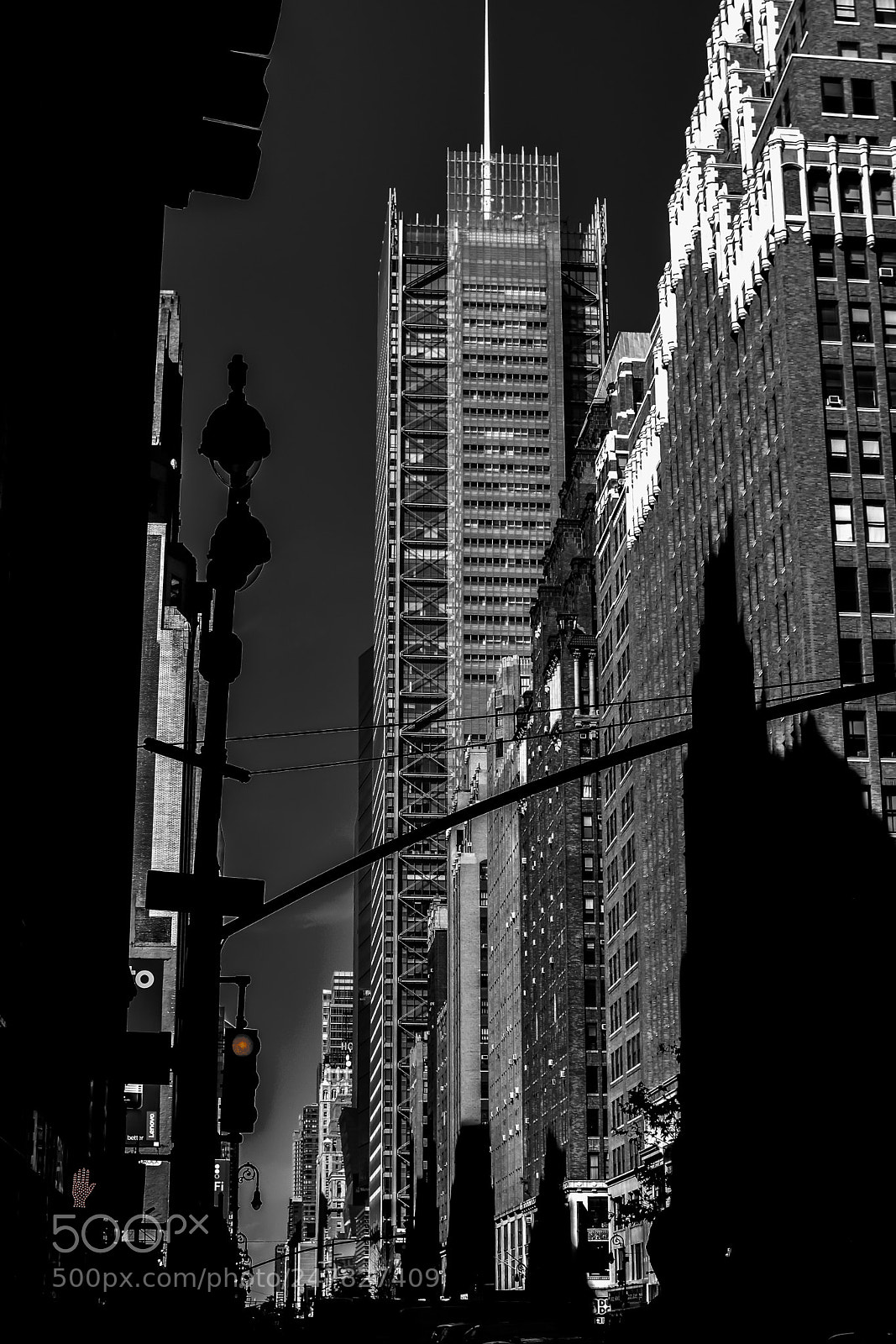 Nikon D5600 sample photo. Eopath_111 photography