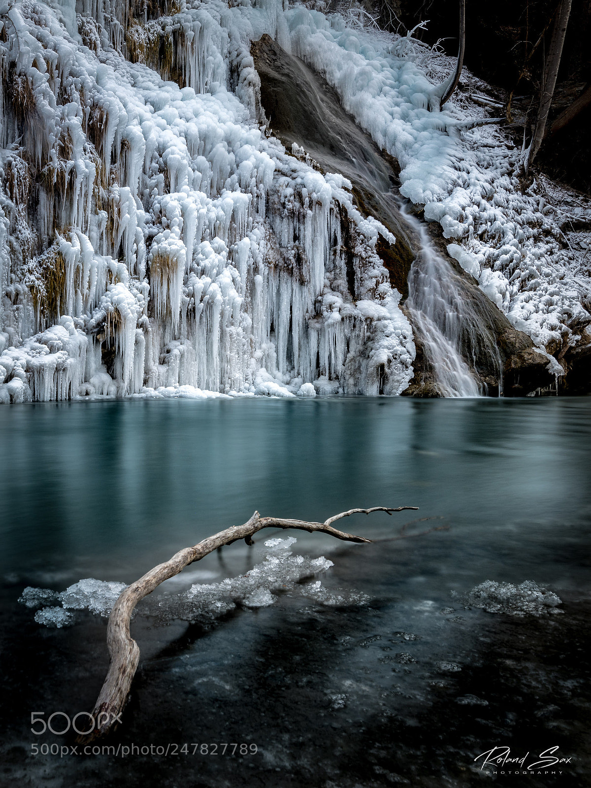 Nikon D850 sample photo. Winter dream photography