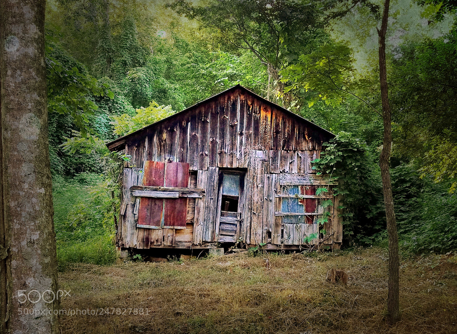 Samsung Galaxy S7 sample photo. All boarded up photography
