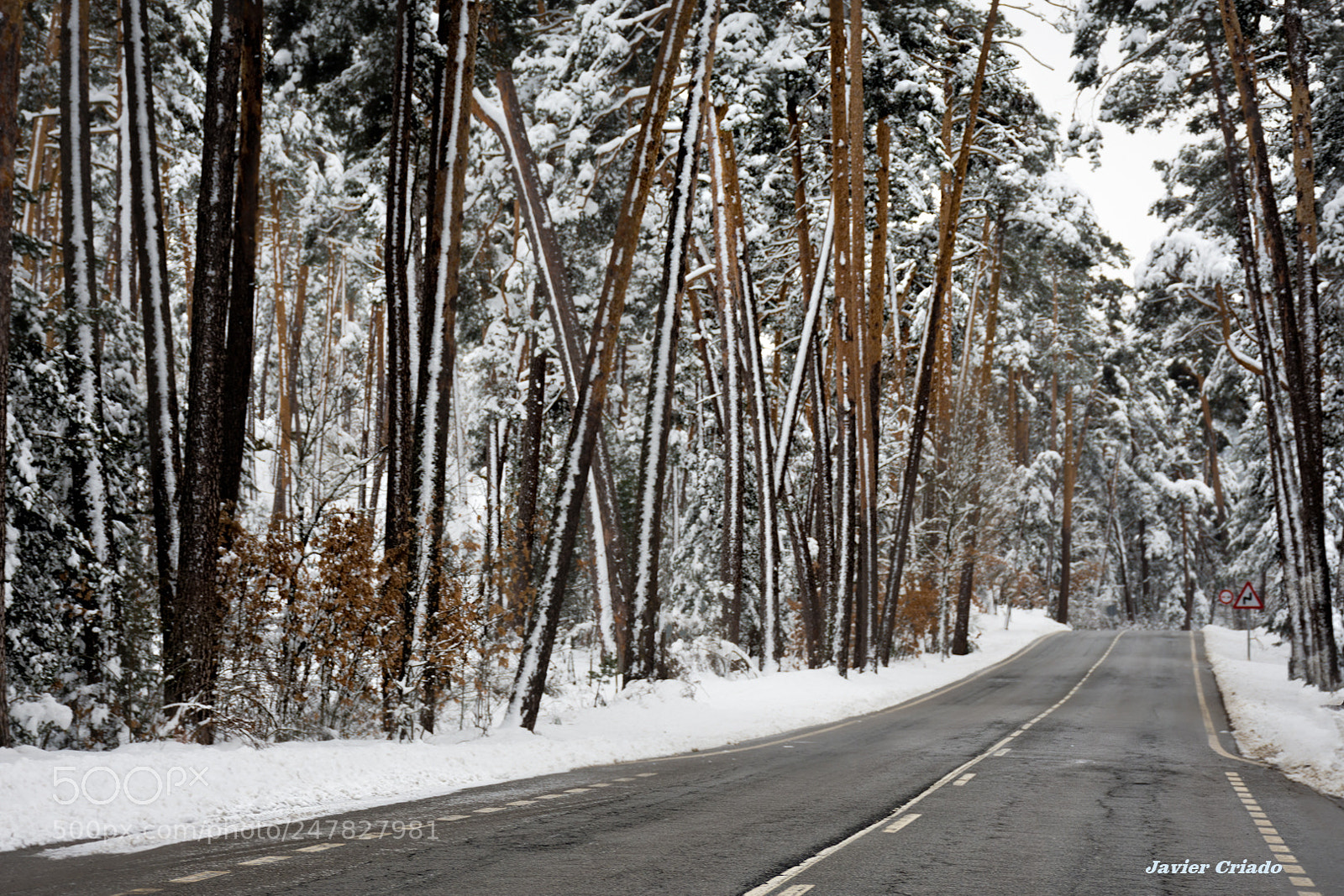 Nikon D7200 sample photo. Road to the snowy photography