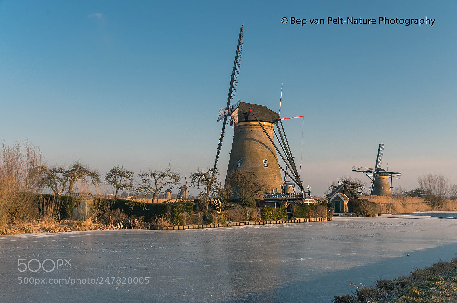 Nikon D500 sample photo. Kinderdijk windmills at a photography