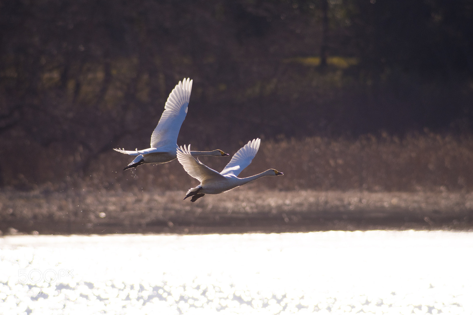 Pentax K-1 sample photo. Departure. photography