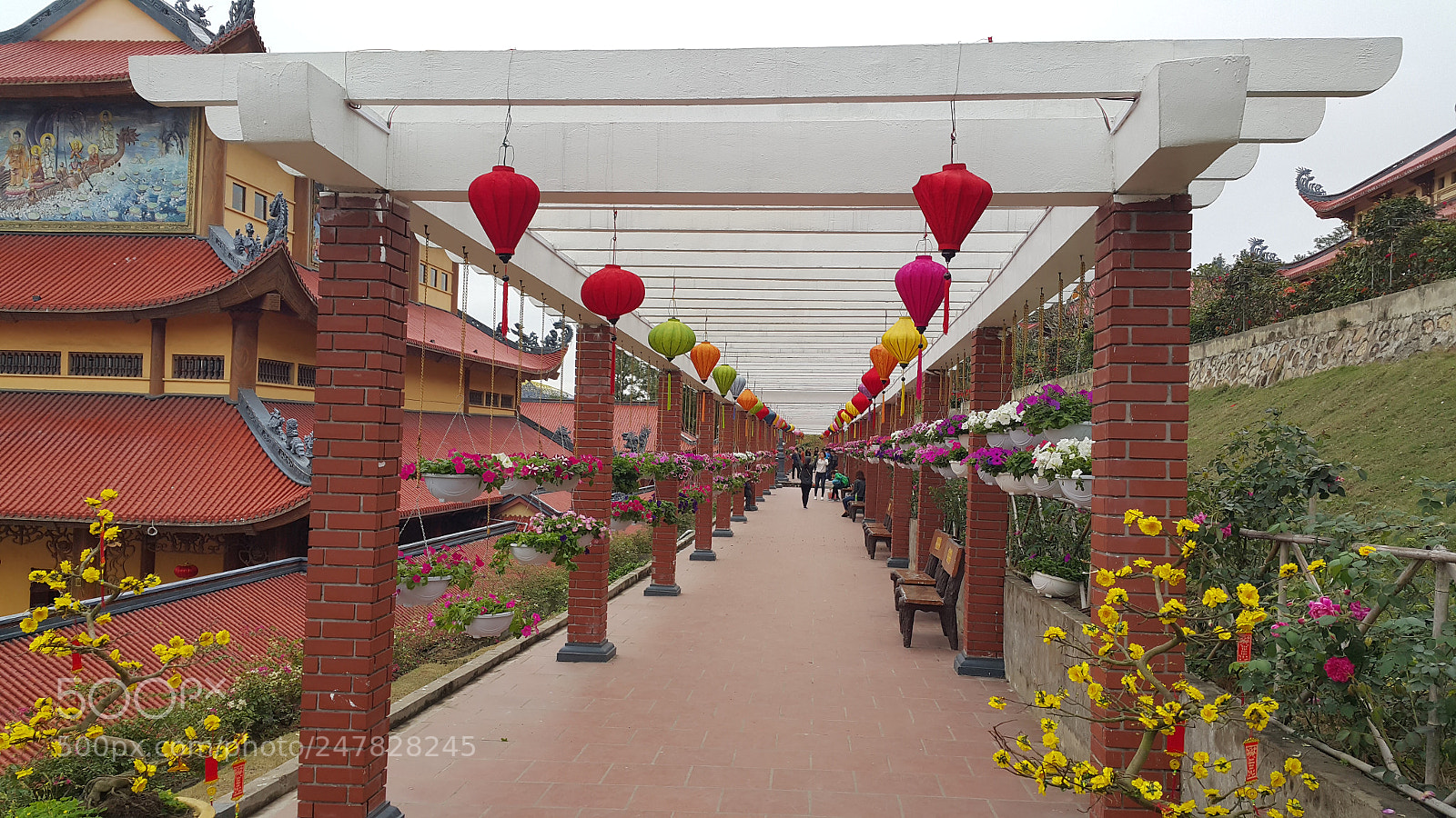 Samsung Galaxy Note4 sample photo. Layout photography