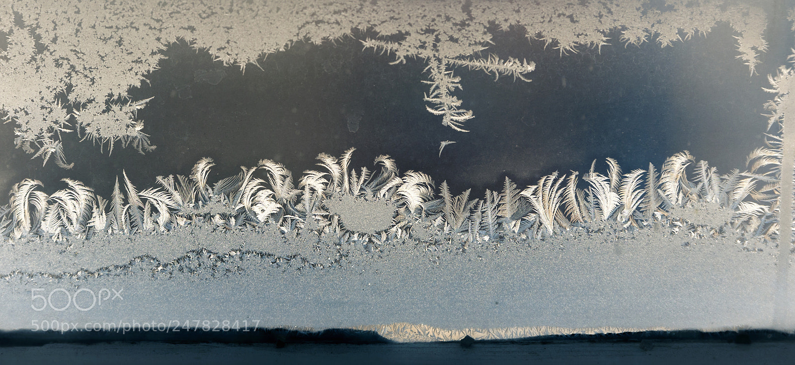 Nikon D700 sample photo. Ice-art photography