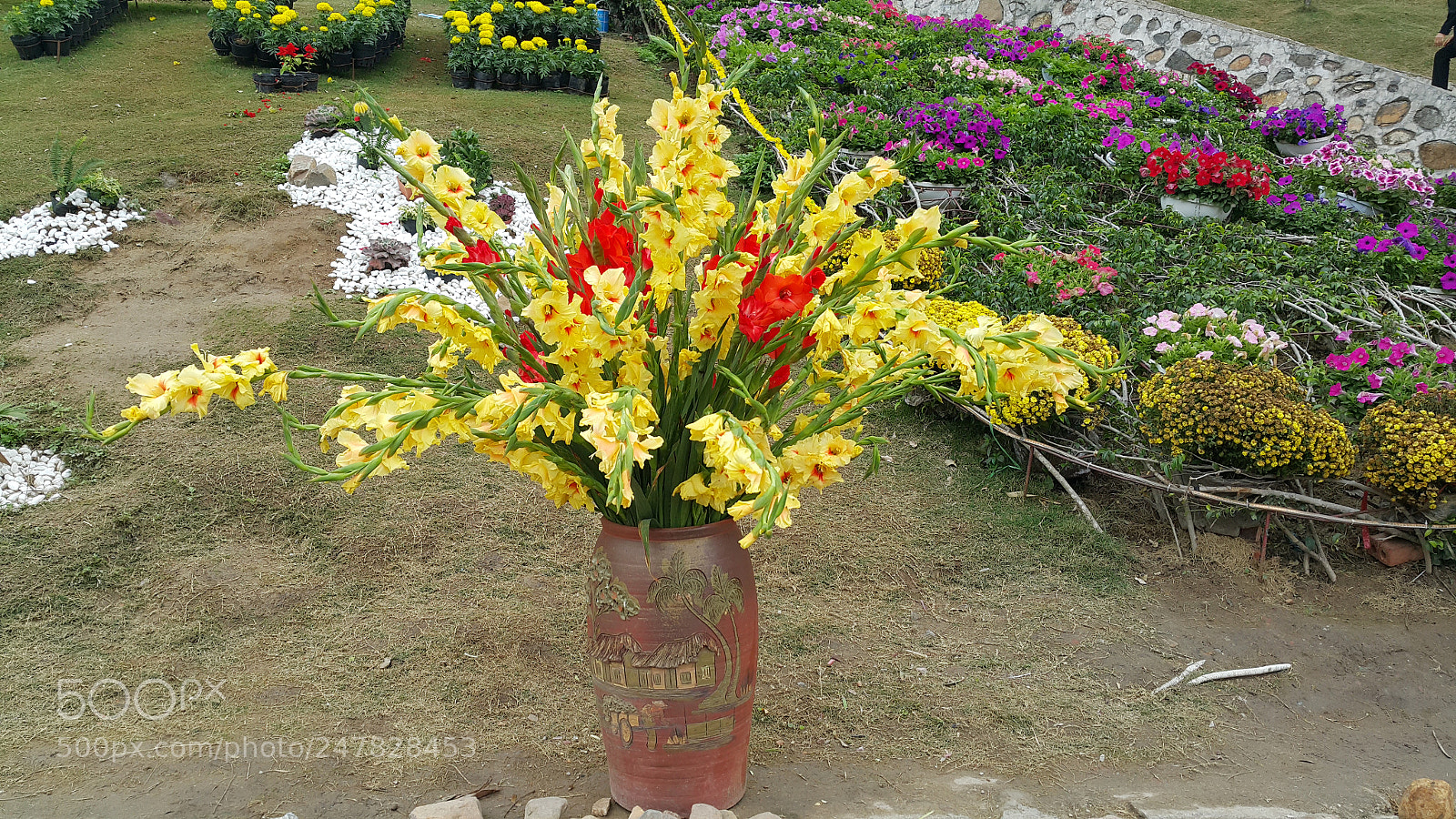 Samsung Galaxy Note4 sample photo. Vase of flowers photography