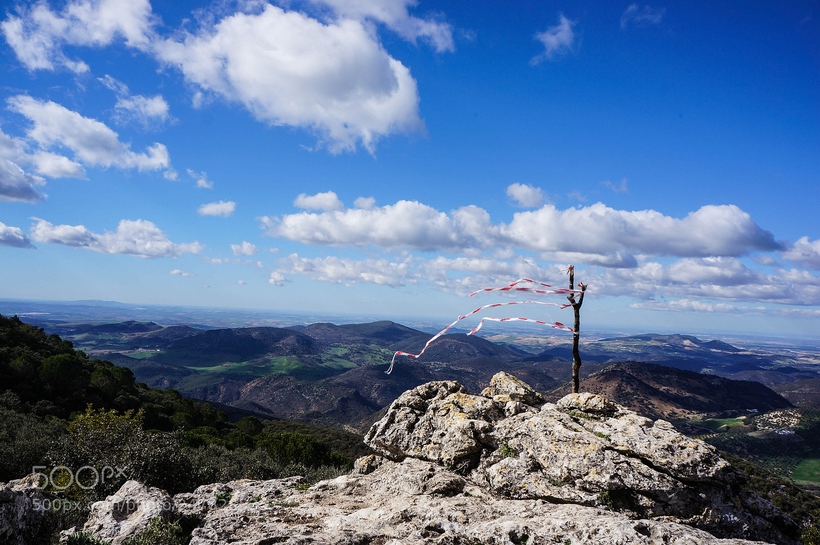 Sony Alpha NEX-5N sample photo. In the wind photography