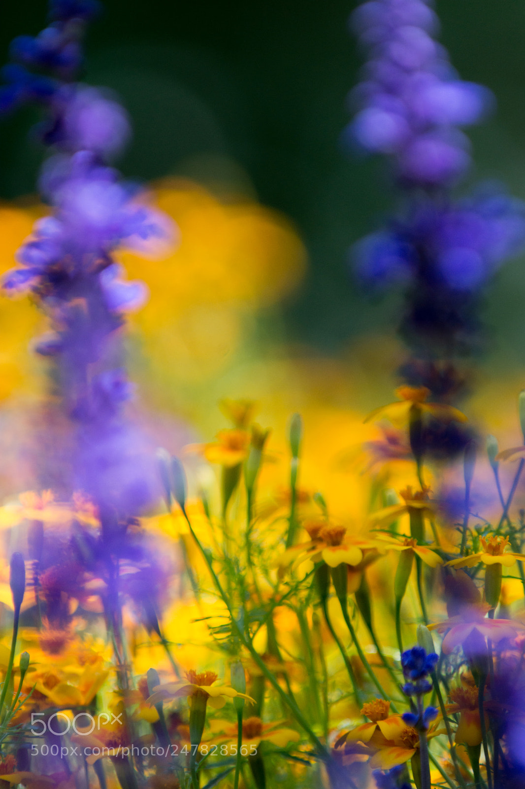 Nikon D7200 sample photo. Was buntes photography
