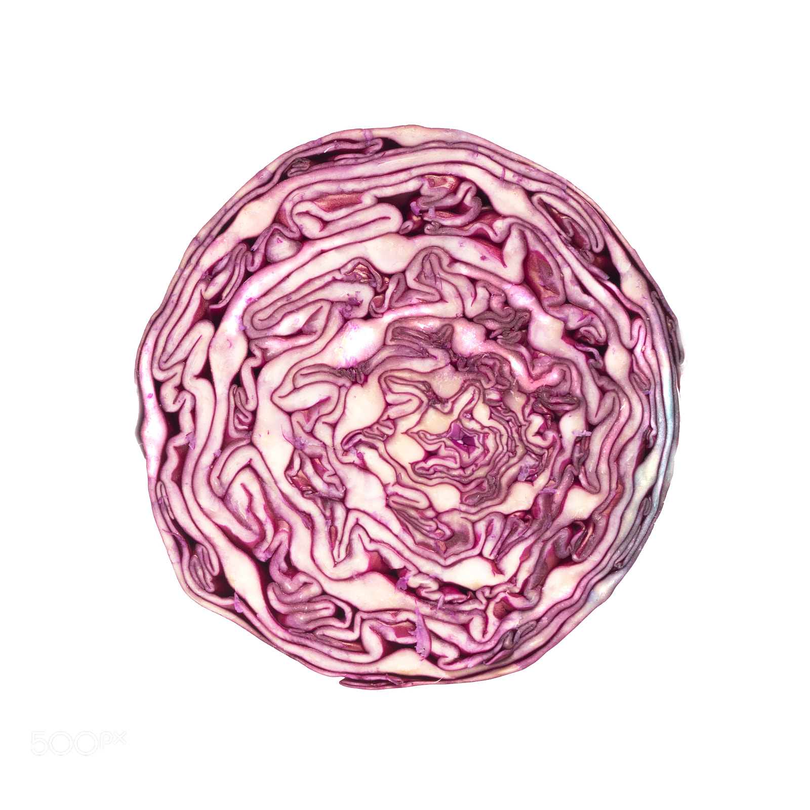 Canon EOS 7D Mark II sample photo. Red cabbage photography
