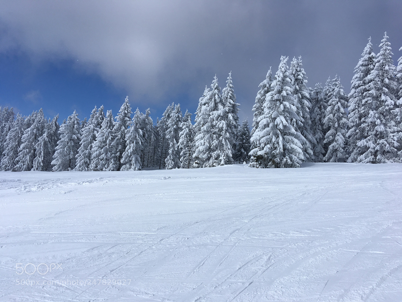 Apple iPhone SE sample photo. Snow and teers photography