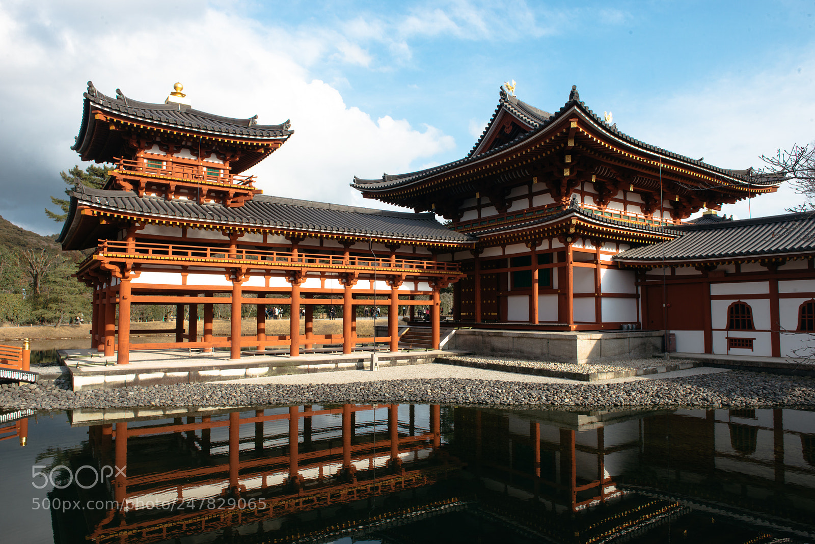 Nikon D800 sample photo. Byodoin temple photography