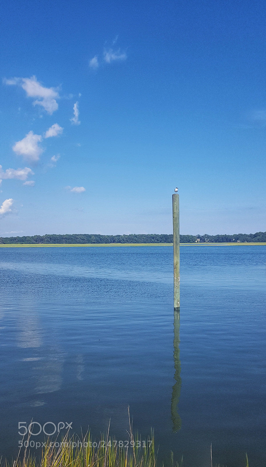 Samsung Galaxy S6 sample photo. Untitled photography