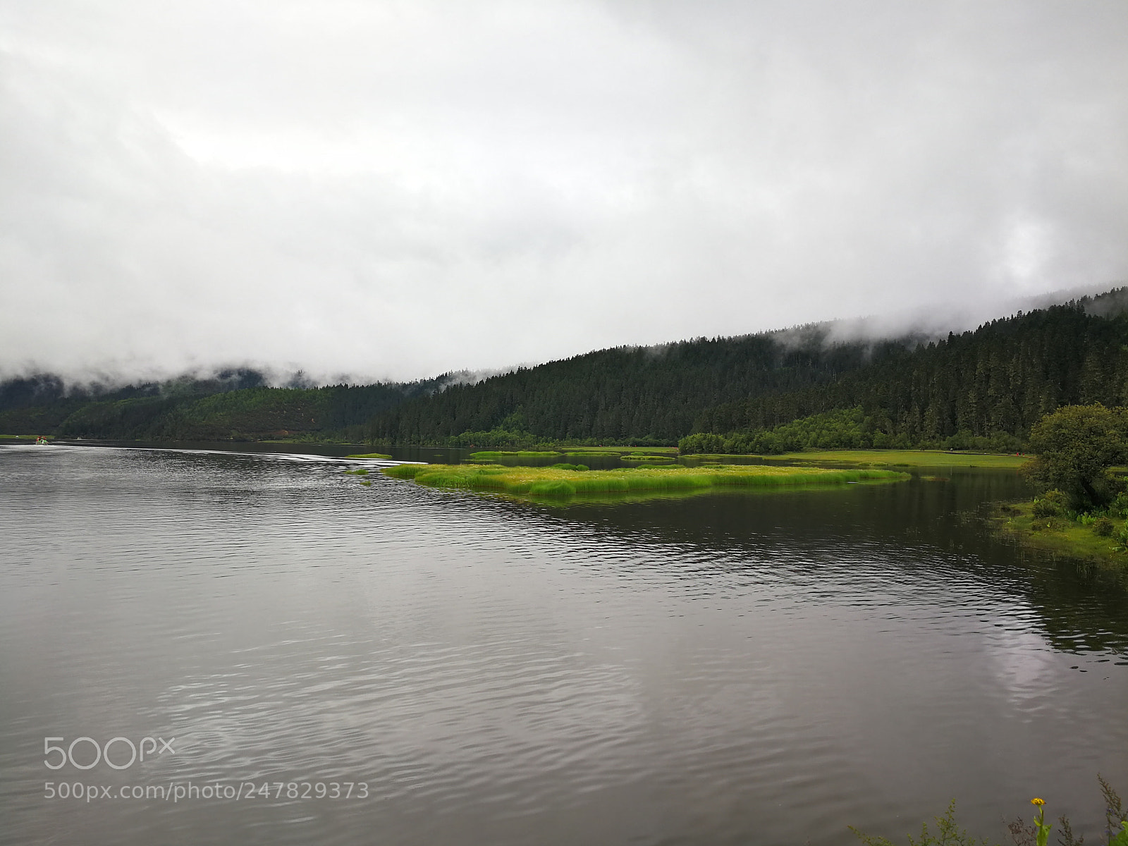 HUAWEI Mate 9 sample photo. Untitled photography