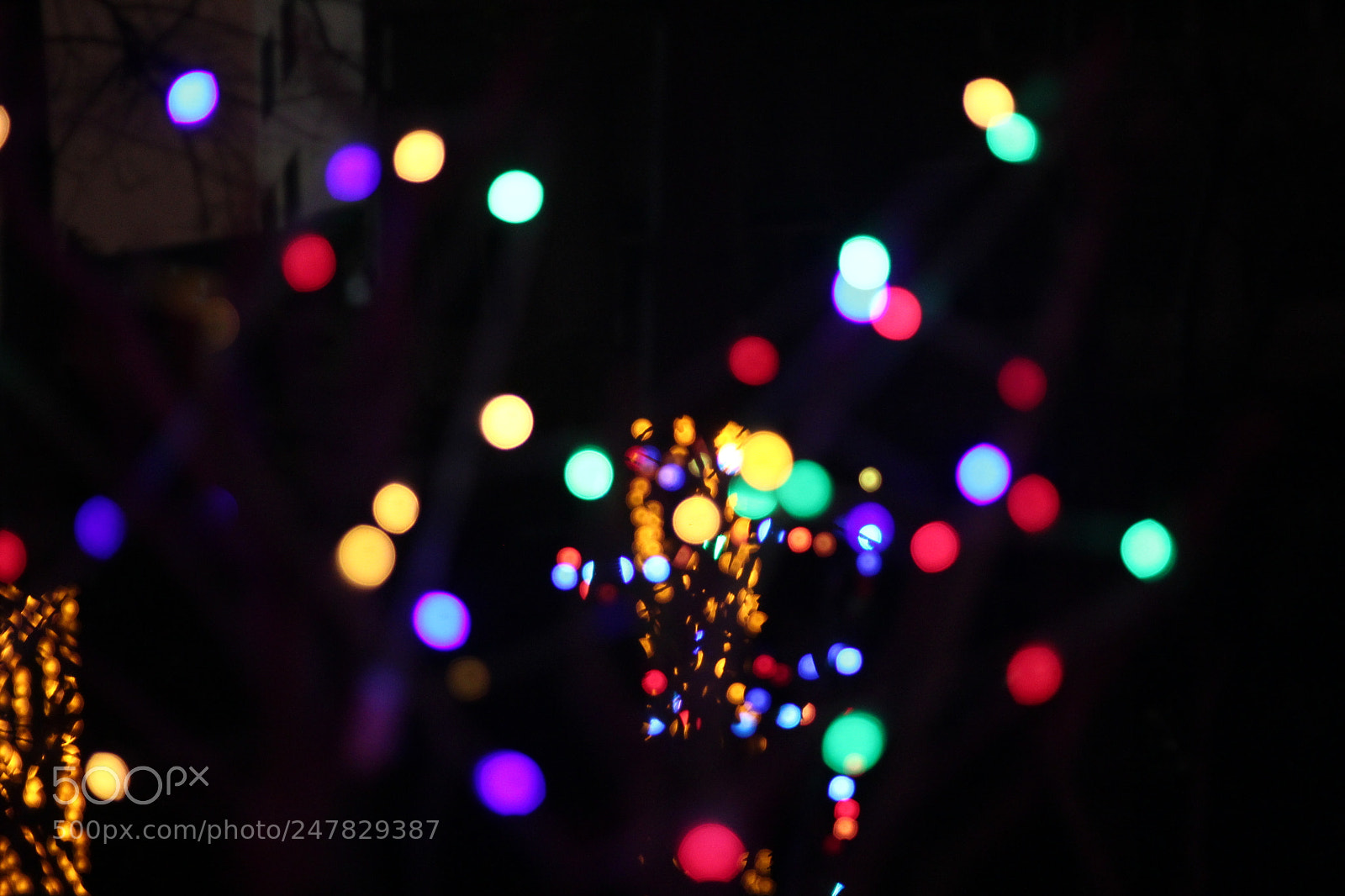 Canon EOS 60D + Canon EF 50mm F1.8 STM sample photo. Lights photography