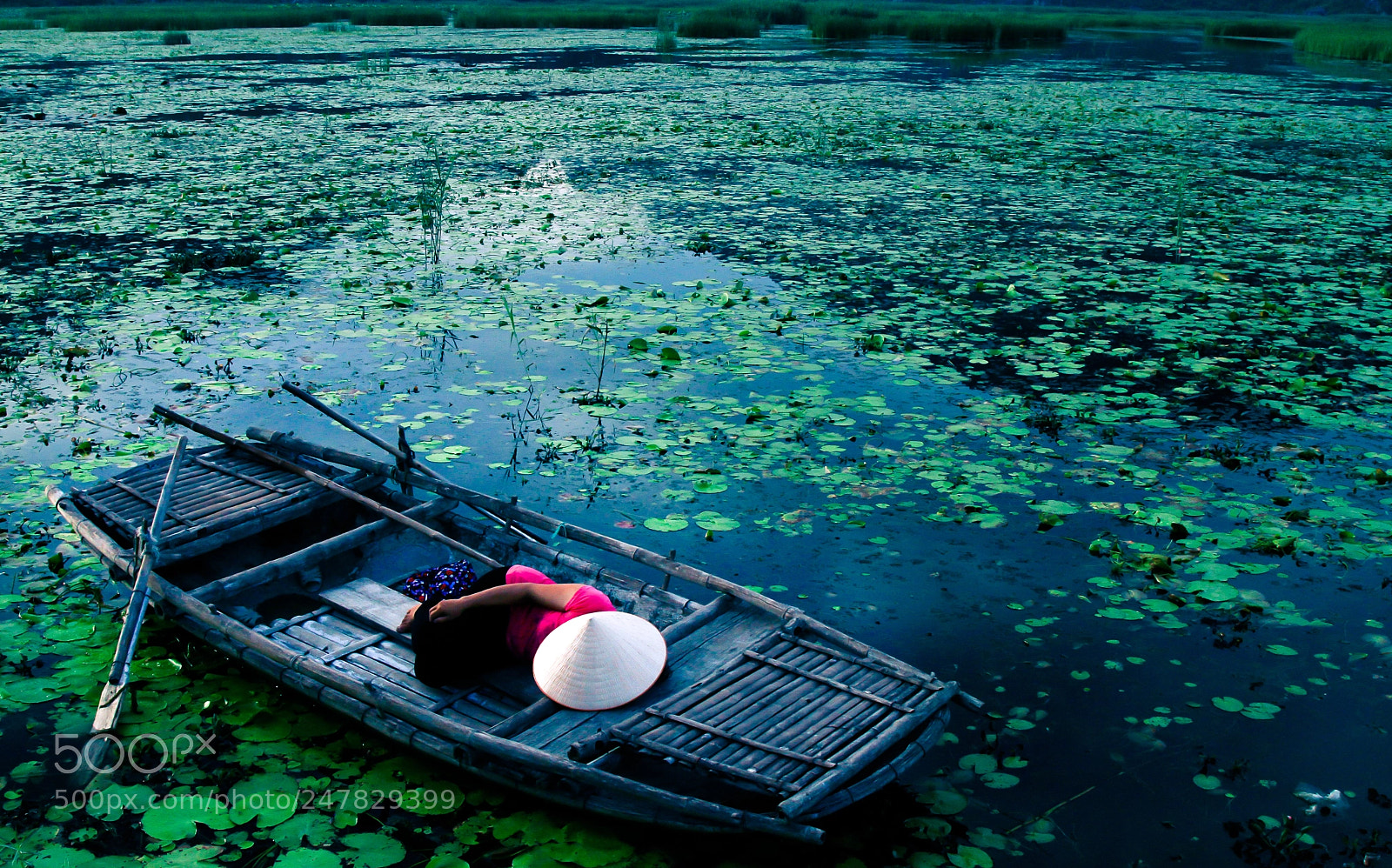 Canon EOS 7D sample photo. A nap photography