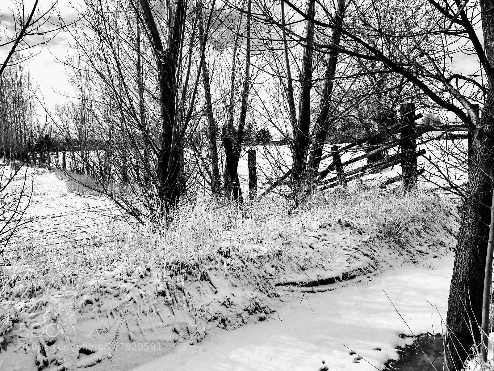 Samsung Galaxy S8 sample photo. Quiet winterscapes photography