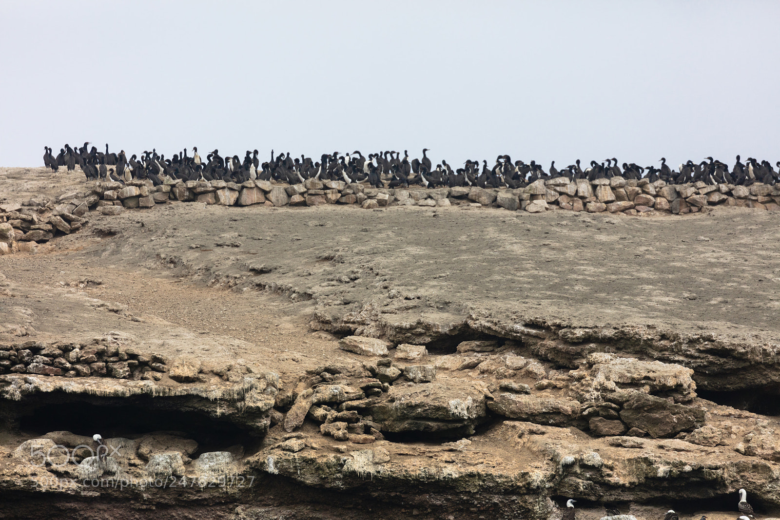 Canon EOS 5DS R sample photo. Ballestas islands, perù photography