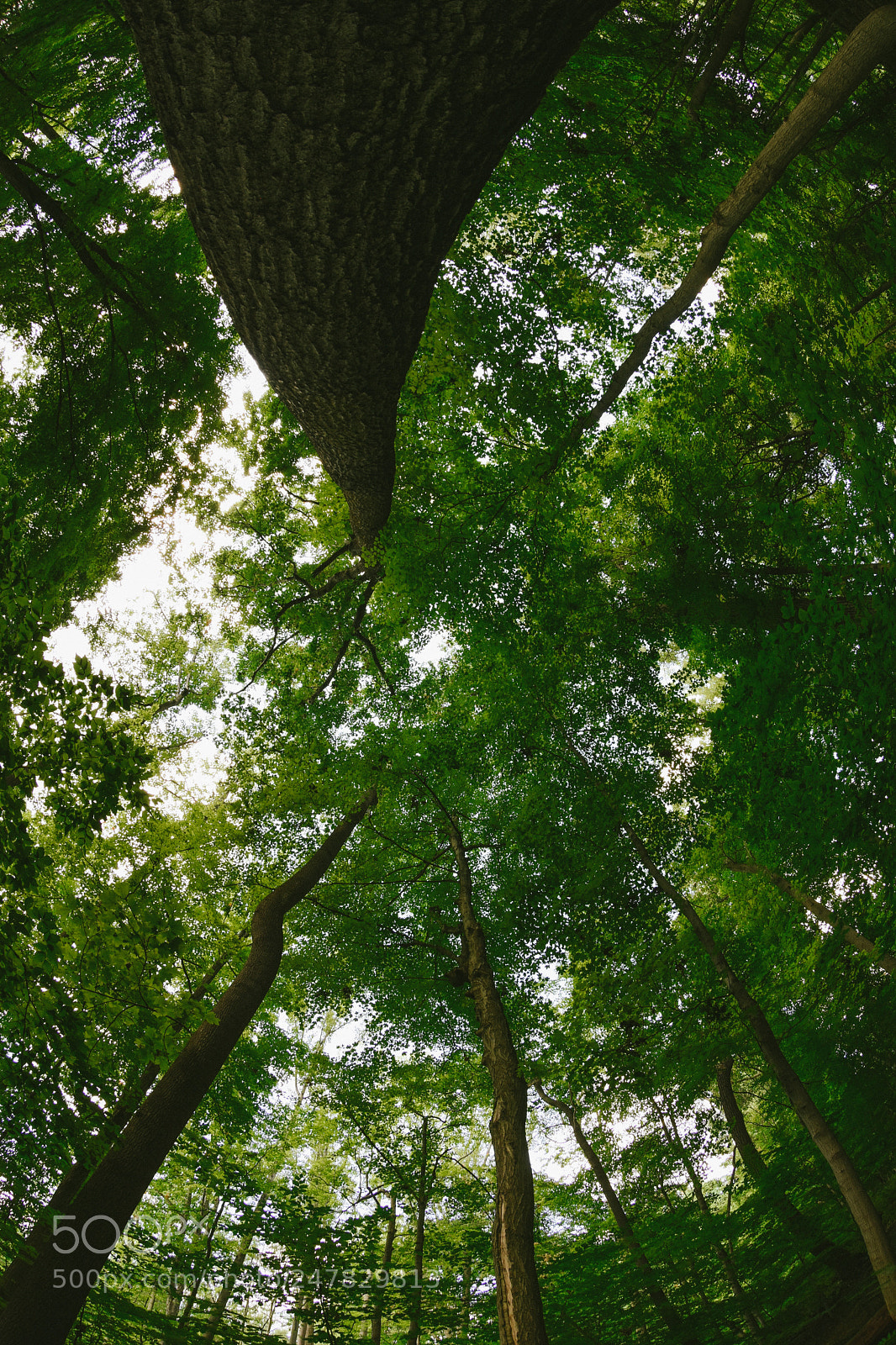 Nikon D7200 sample photo. Cuyahoga valley national park photography