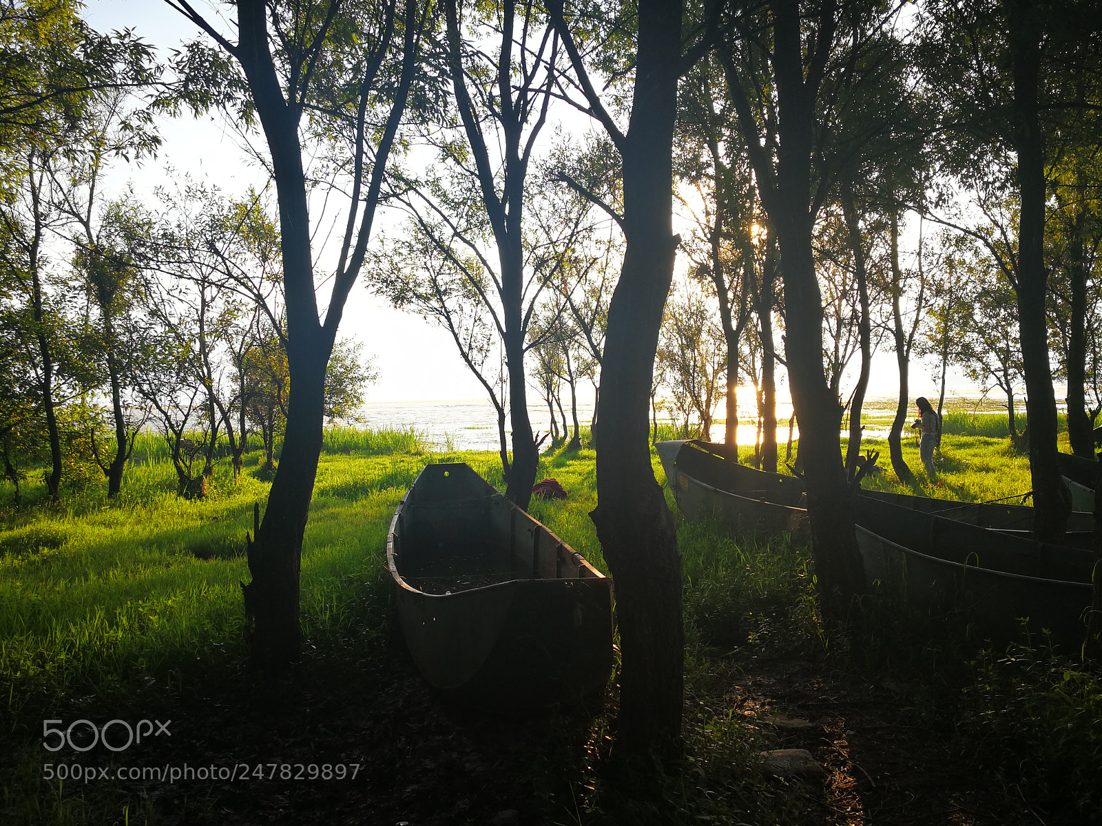 HUAWEI Mate 9 sample photo. Untitled photography