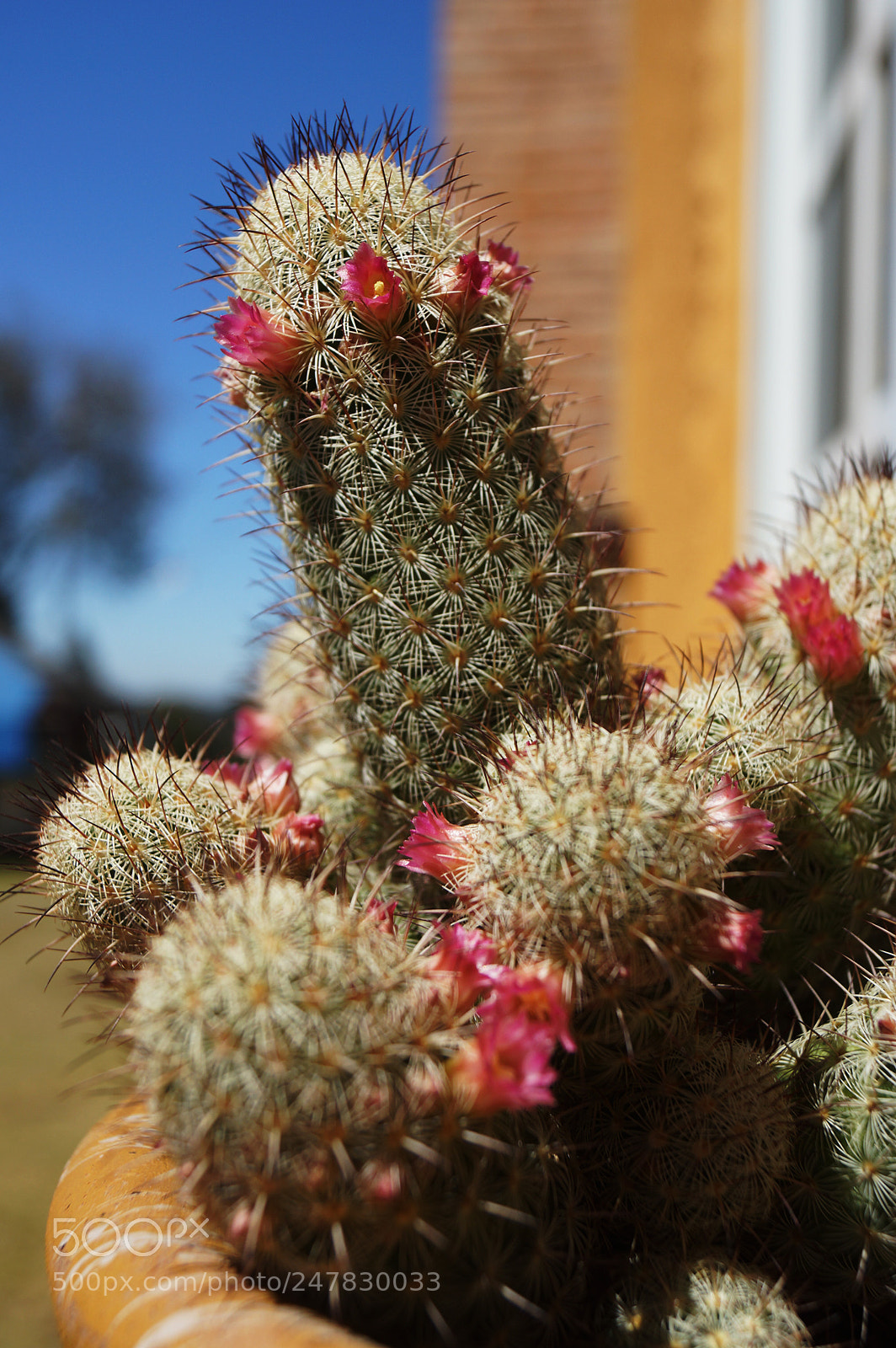 Sony SLT-A65 (SLT-A65V) sample photo. Untitled photography