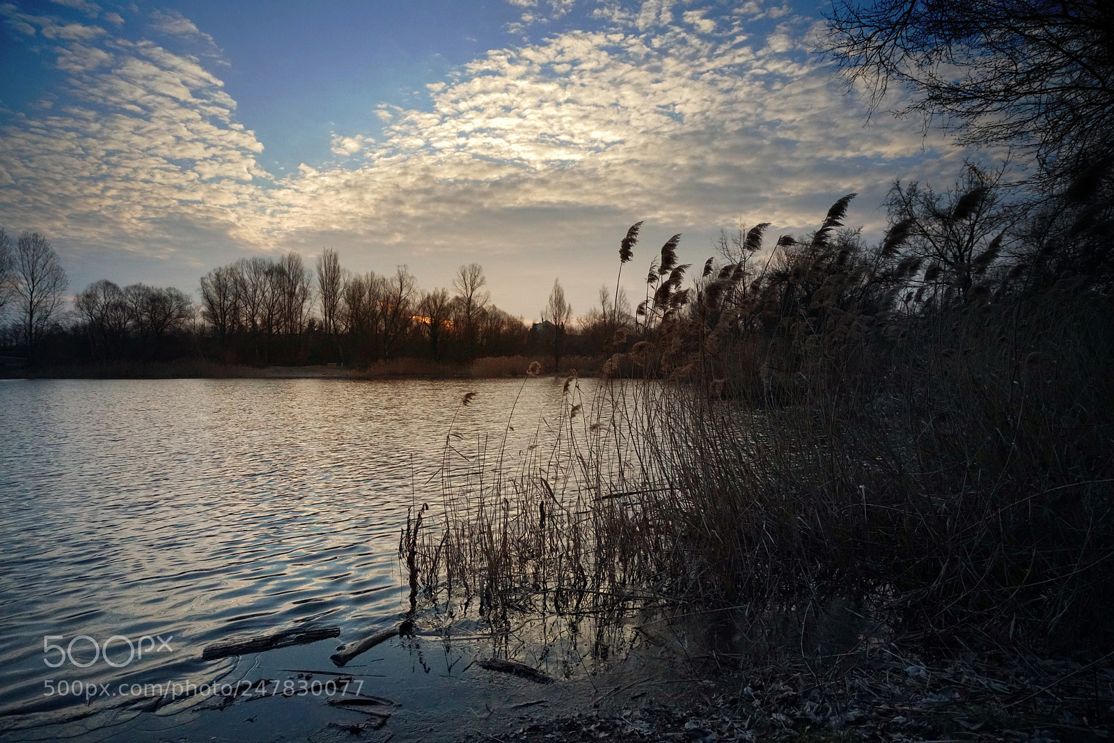 Sony a7R II sample photo. Visit the pond nearby photography