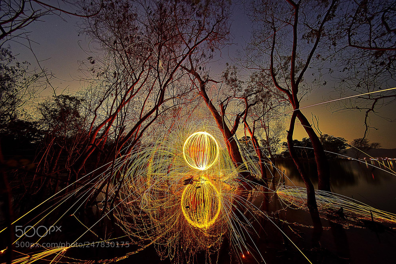 Sony a7 II sample photo. Steel wool on fire photography