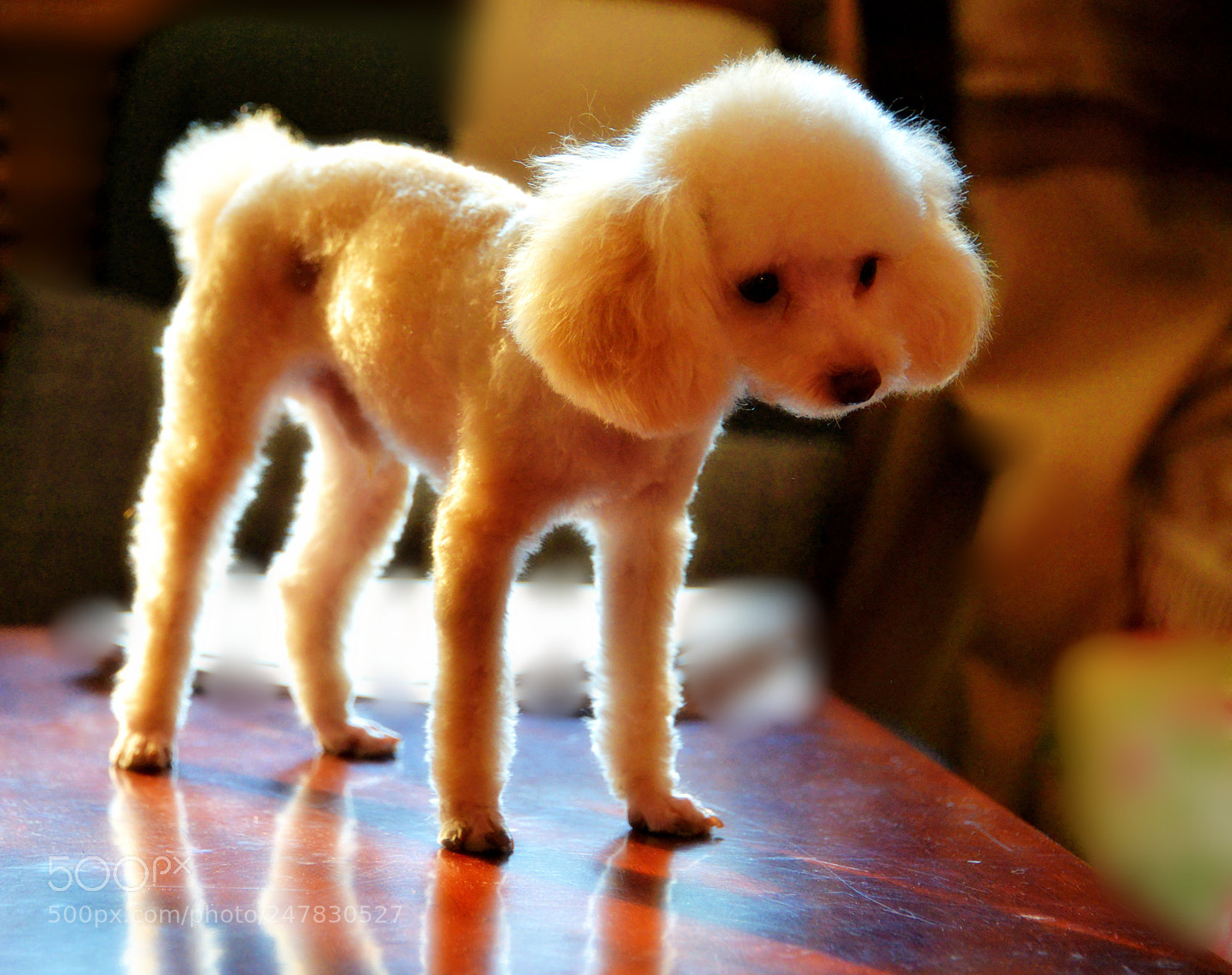 Nikon D610 sample photo. Untitled photography
