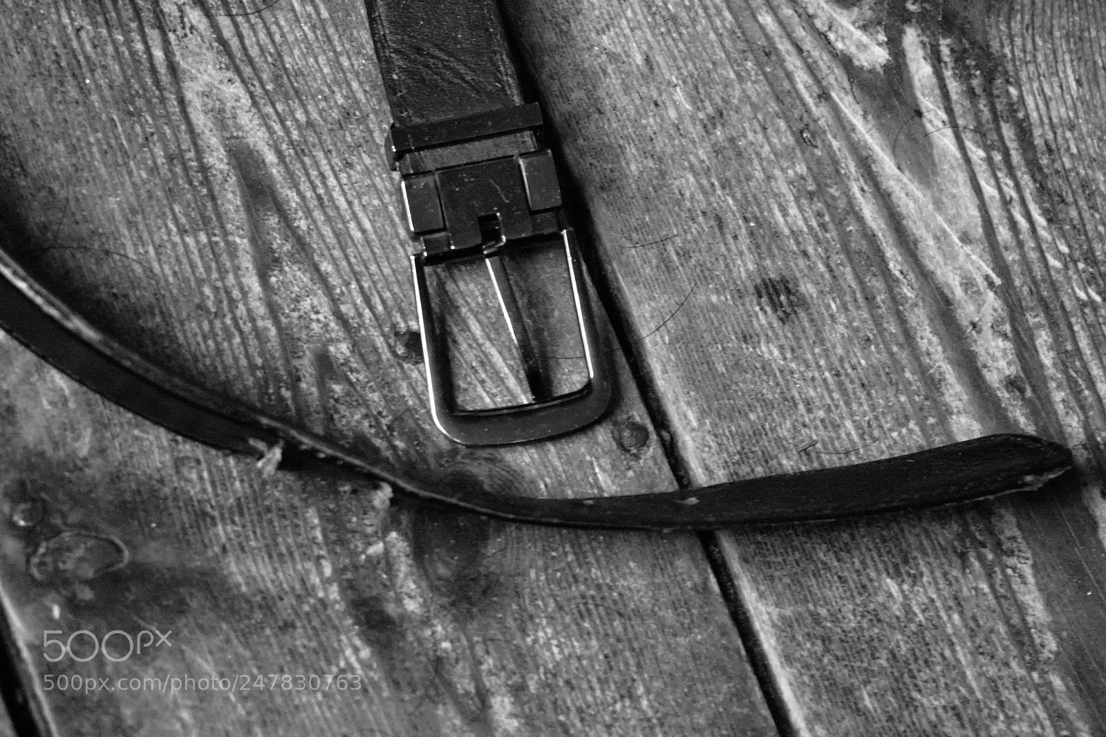 Canon EOS 450D (EOS Rebel XSi / EOS Kiss X2) sample photo. Leather belt photography